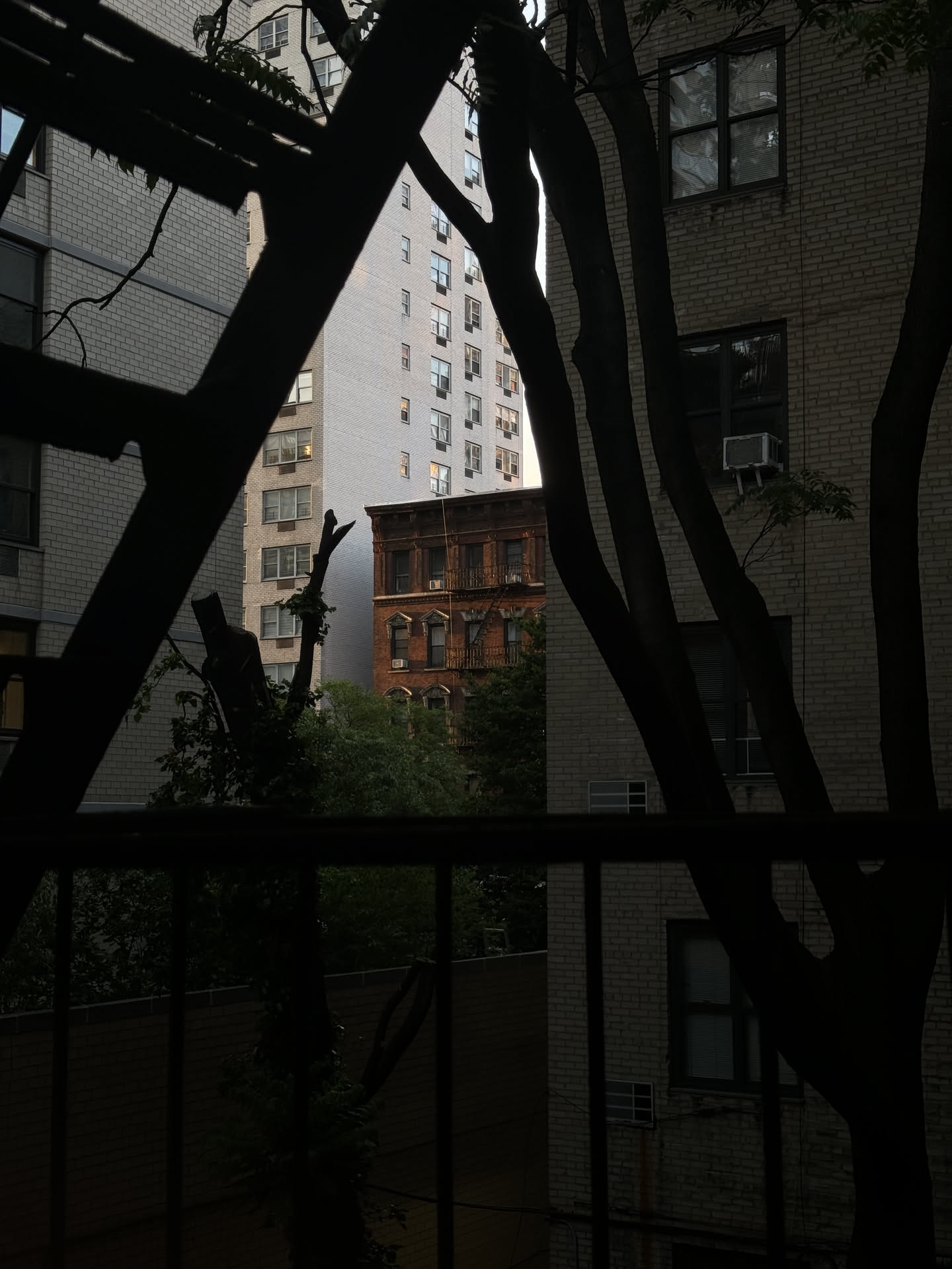 New York, photograph 101 of 115