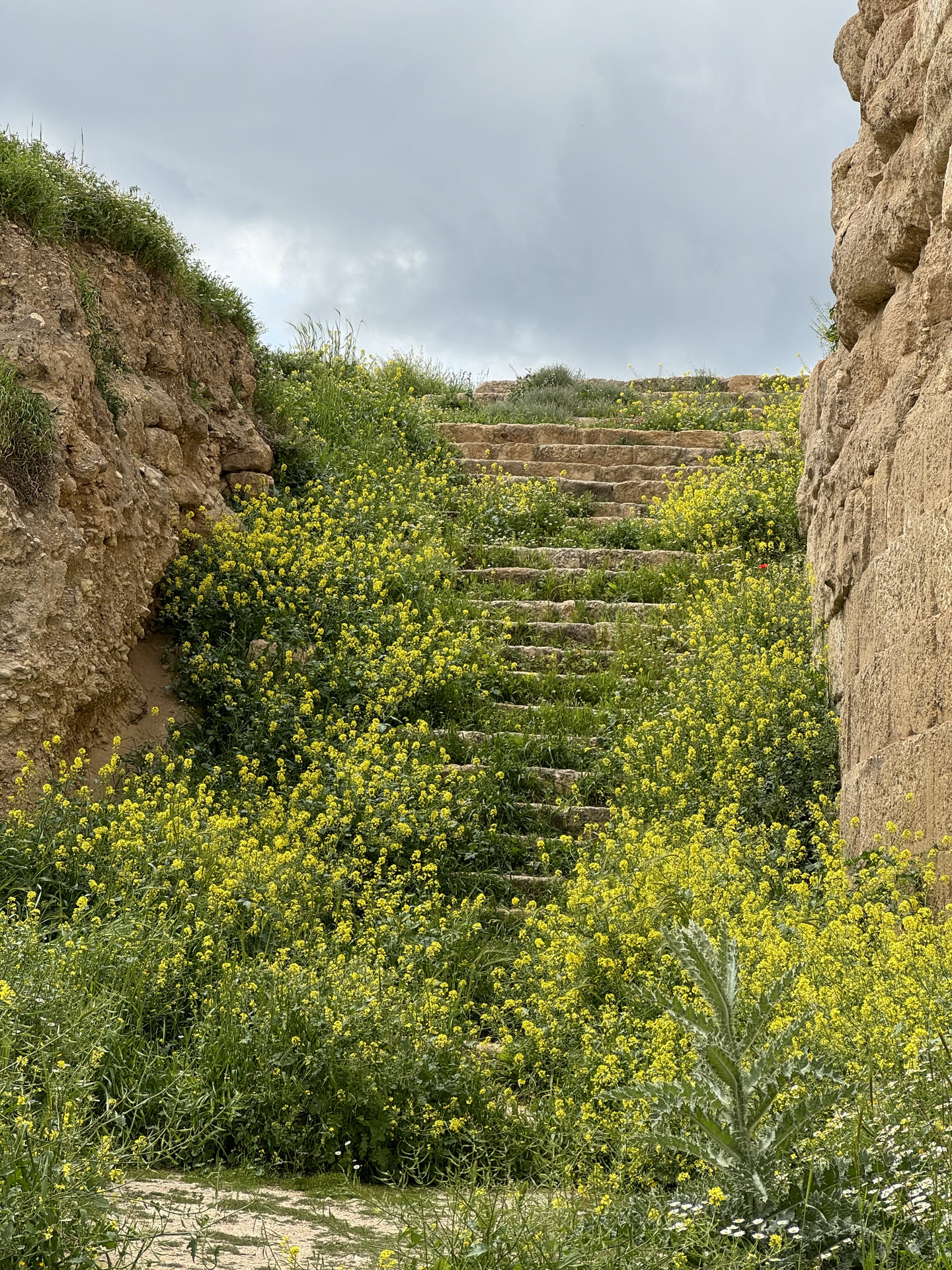 Jordan, photograph 9 of 11
