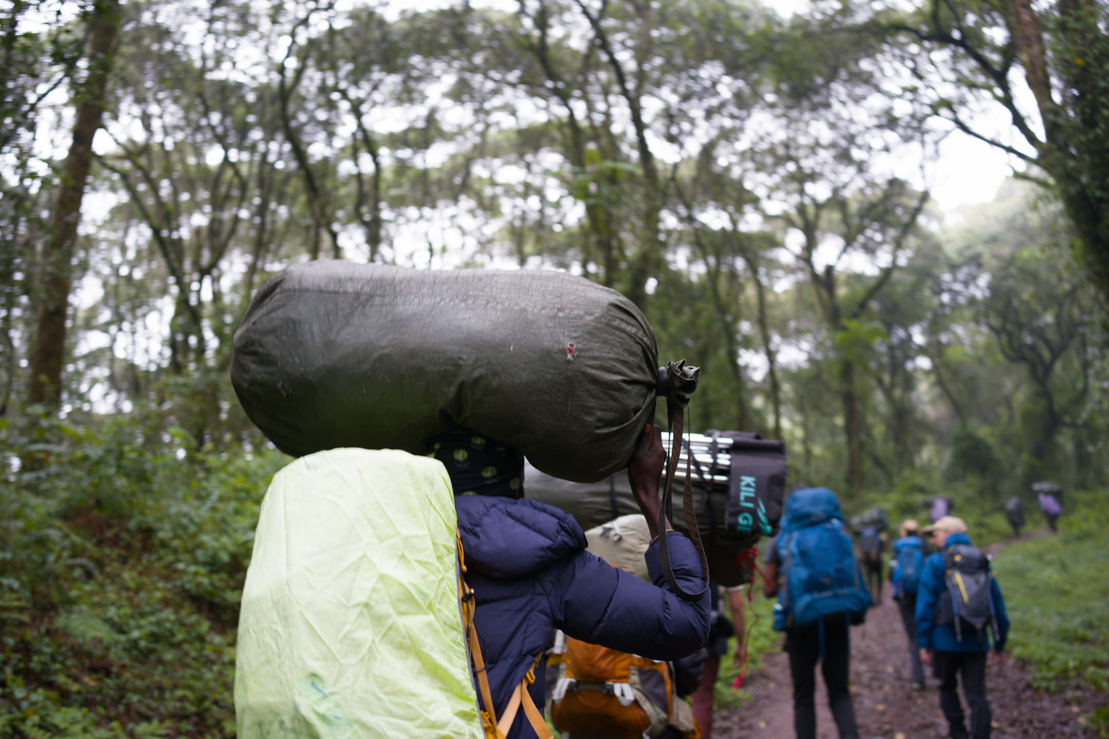 Kilimanjaro, photograph 34 of 45