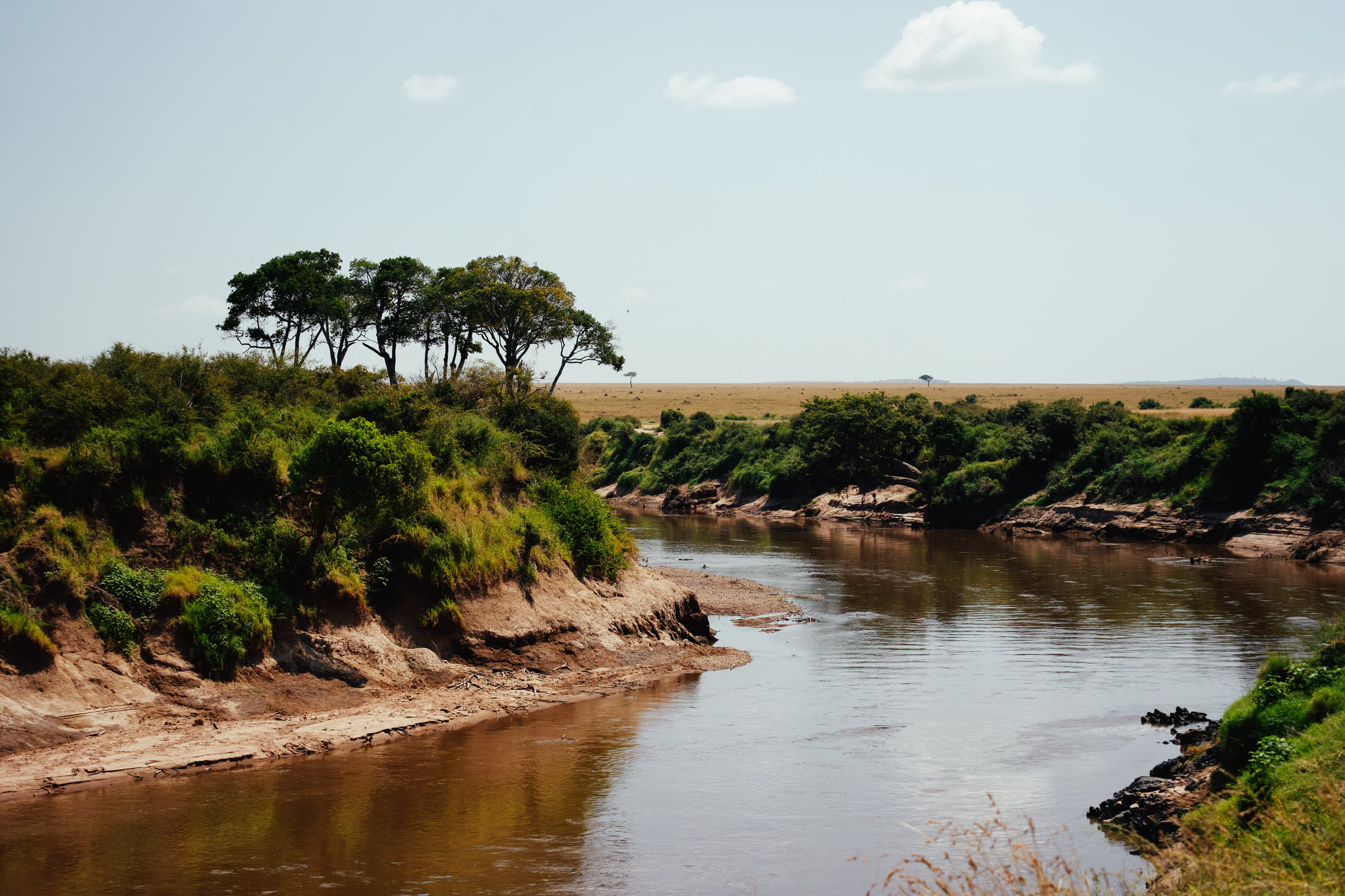 Masai Mara, photograph 1