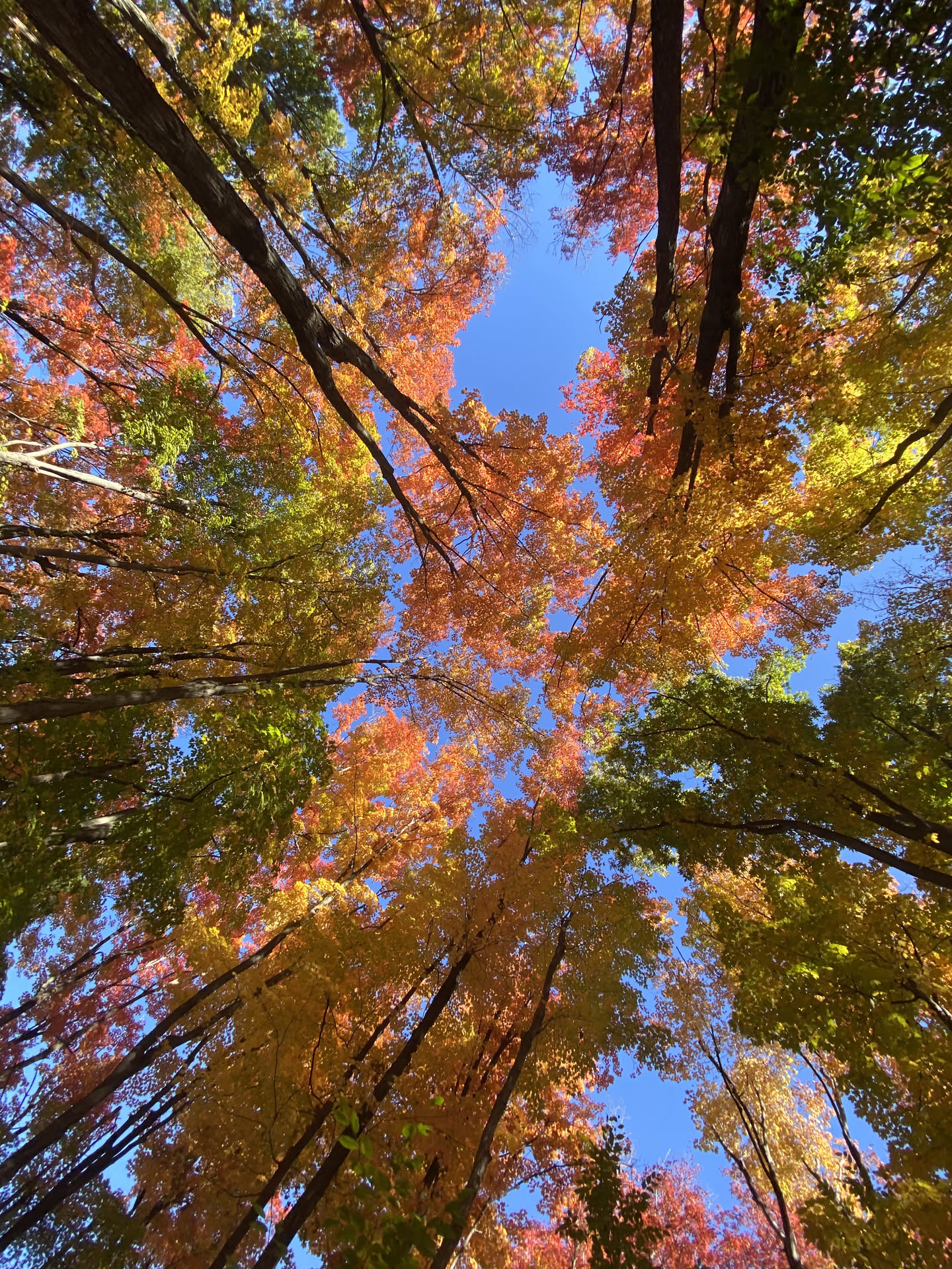 Canada, photograph 35 of 127