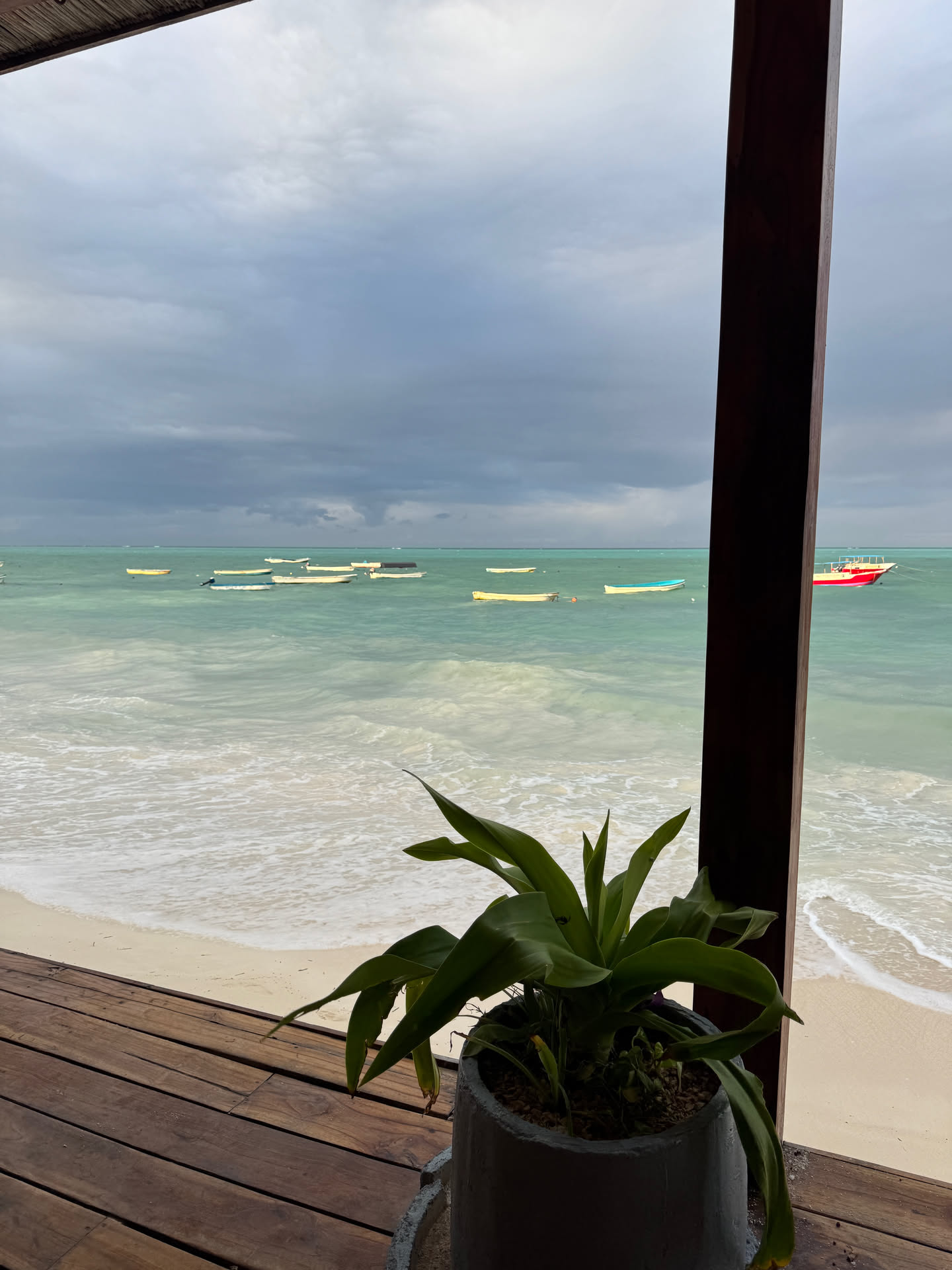 Zanzibar, photograph 3