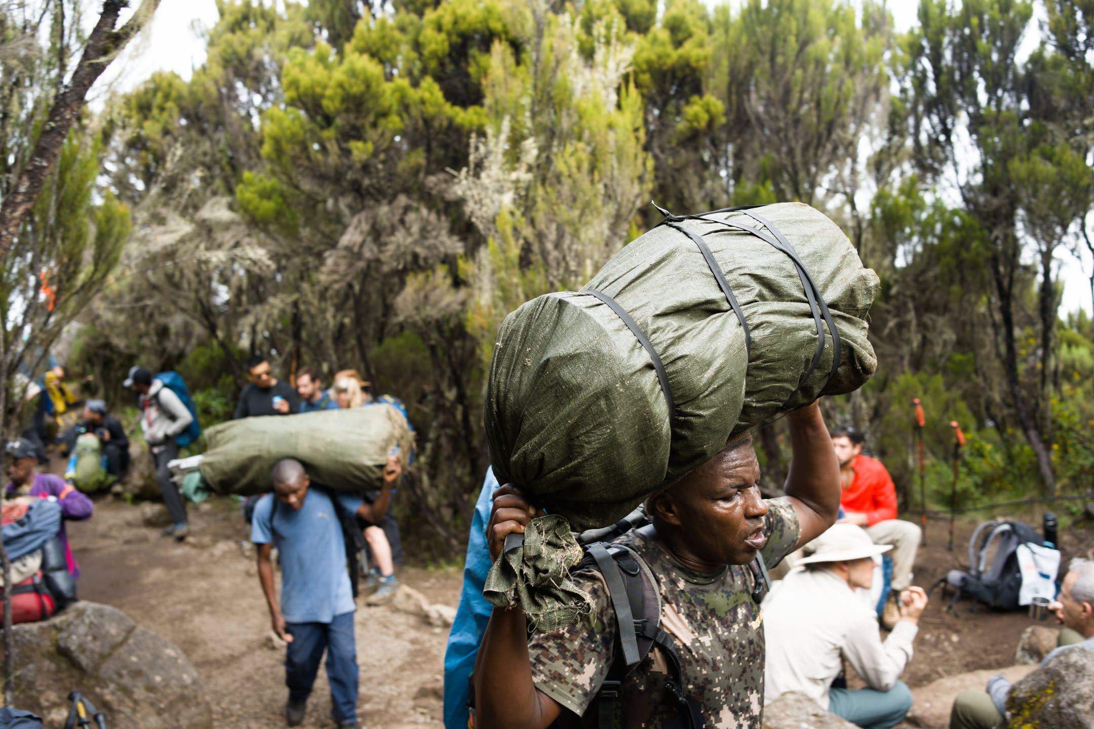 Kilimanjaro, photograph 16 of 45