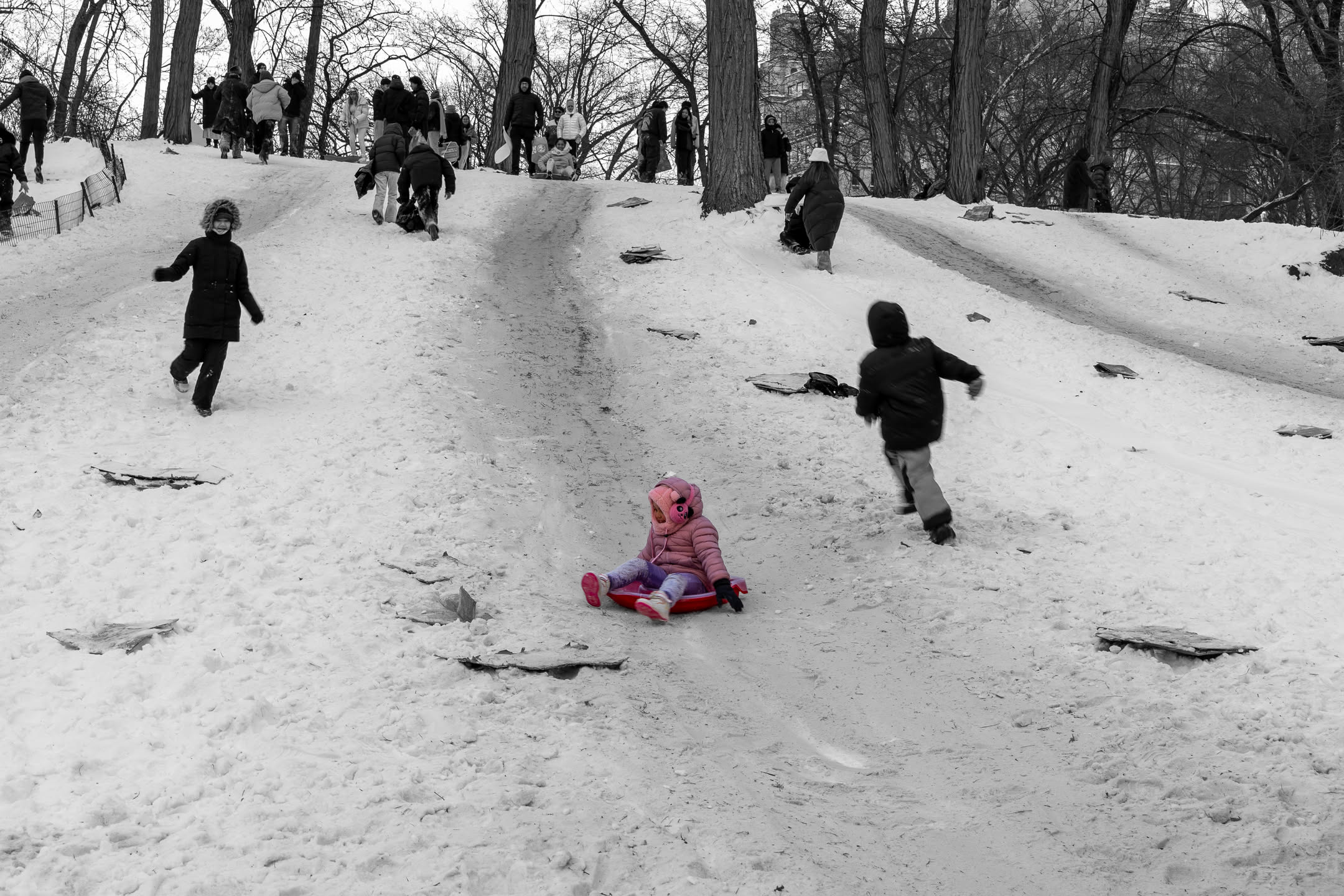 Central Park, photograph 15 of 20