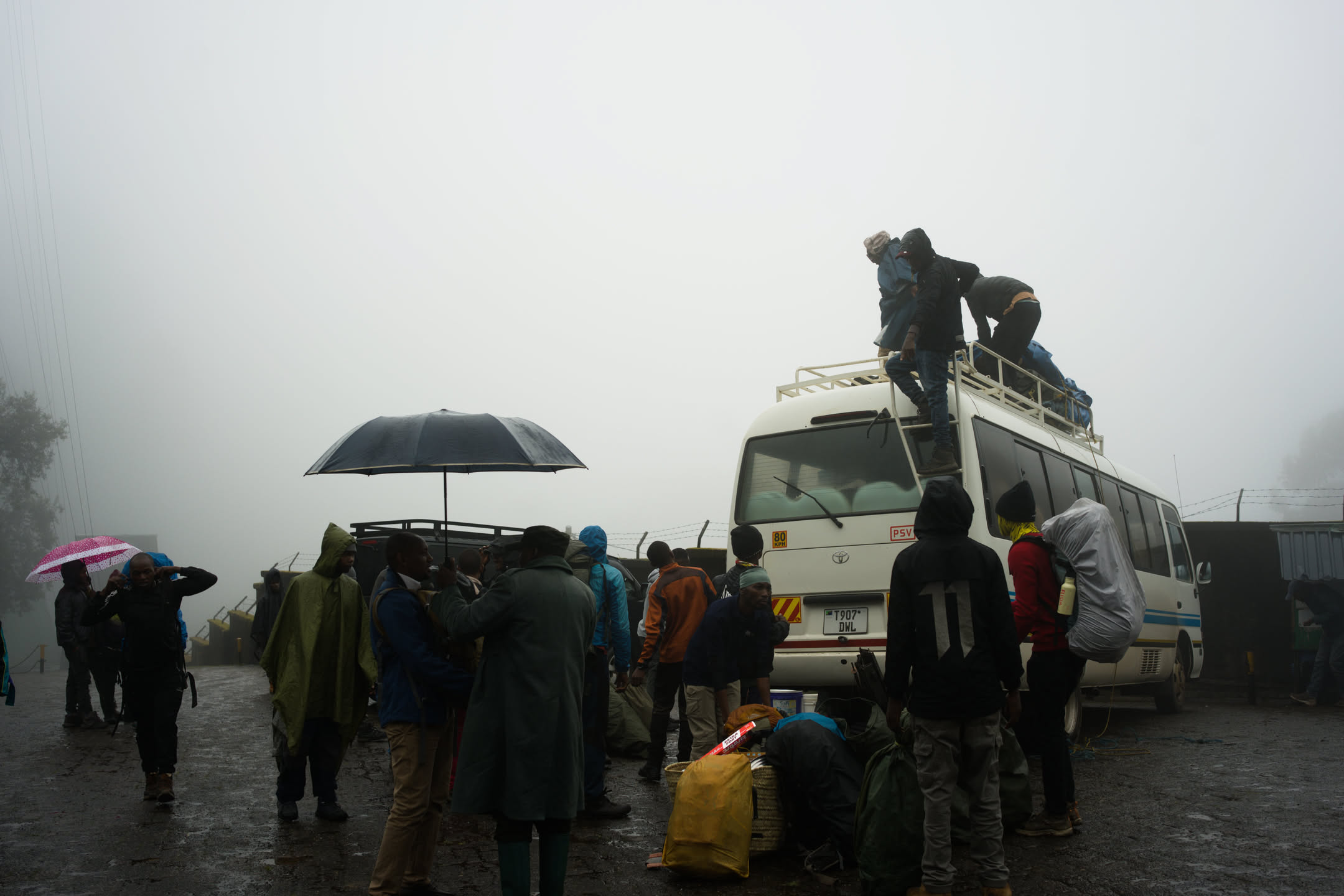 Kilimanjaro, photograph 42 of 45