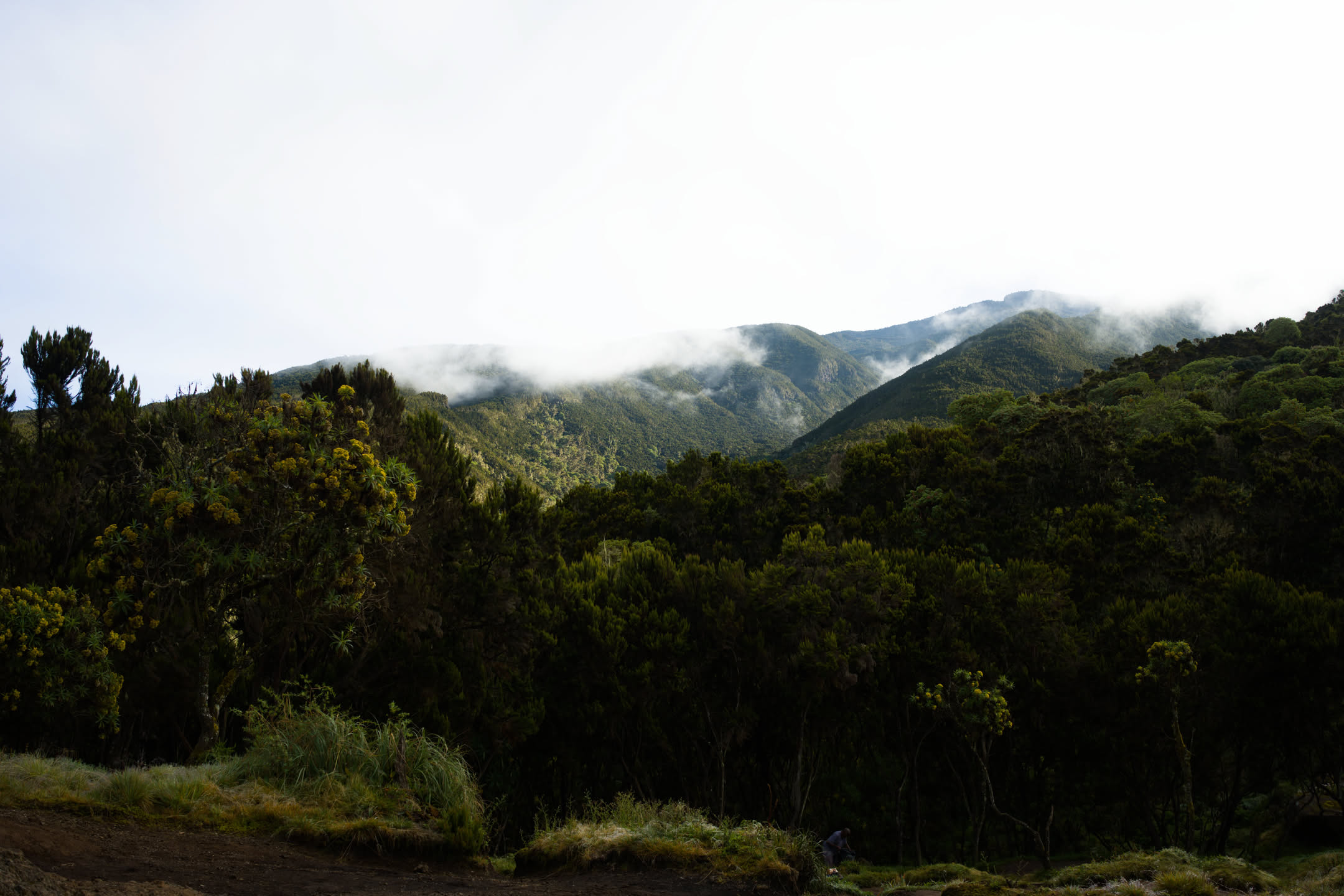 Kilimanjaro, photograph 21 of 45
