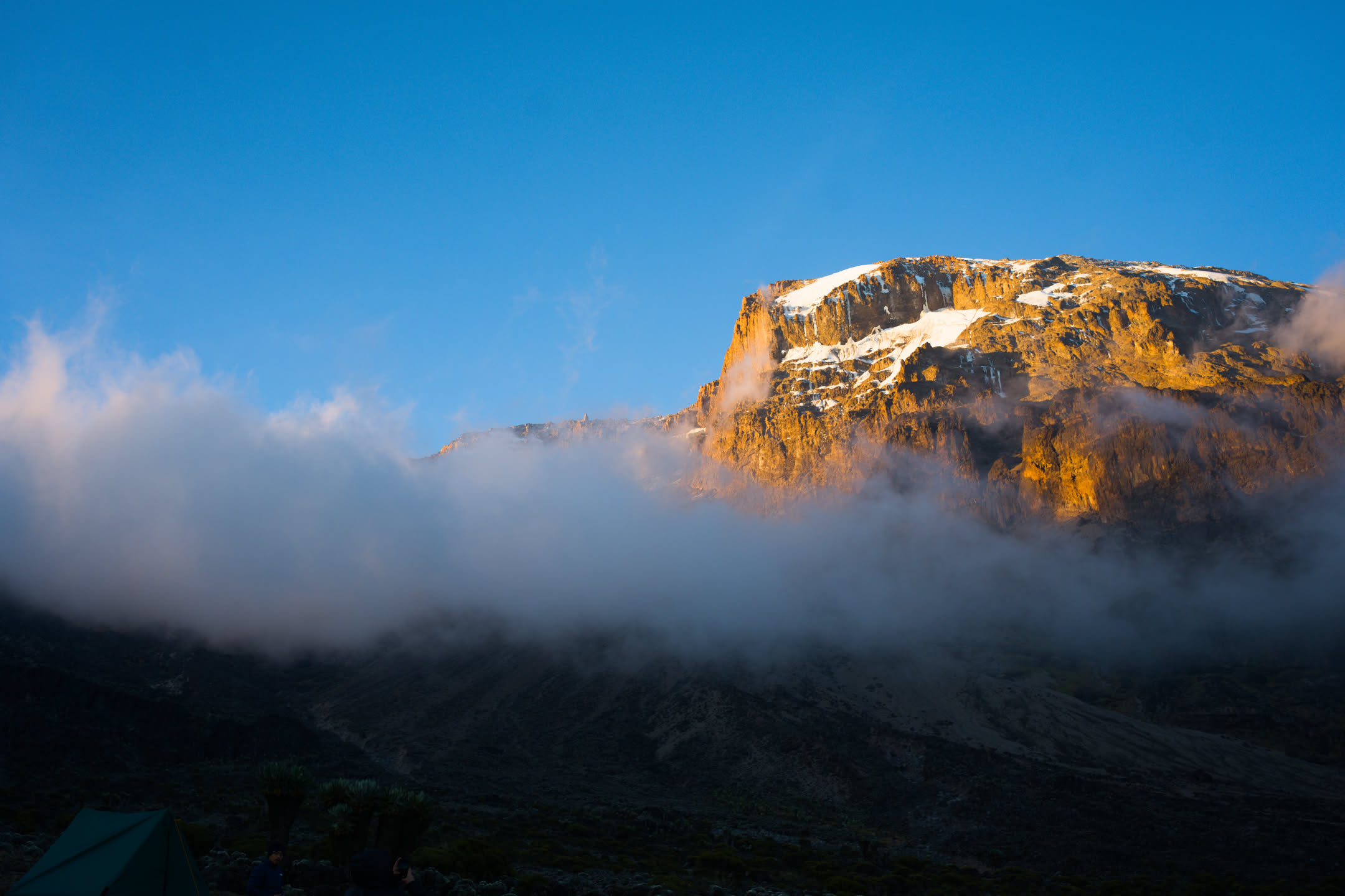 Kilimanjaro, photograph 2