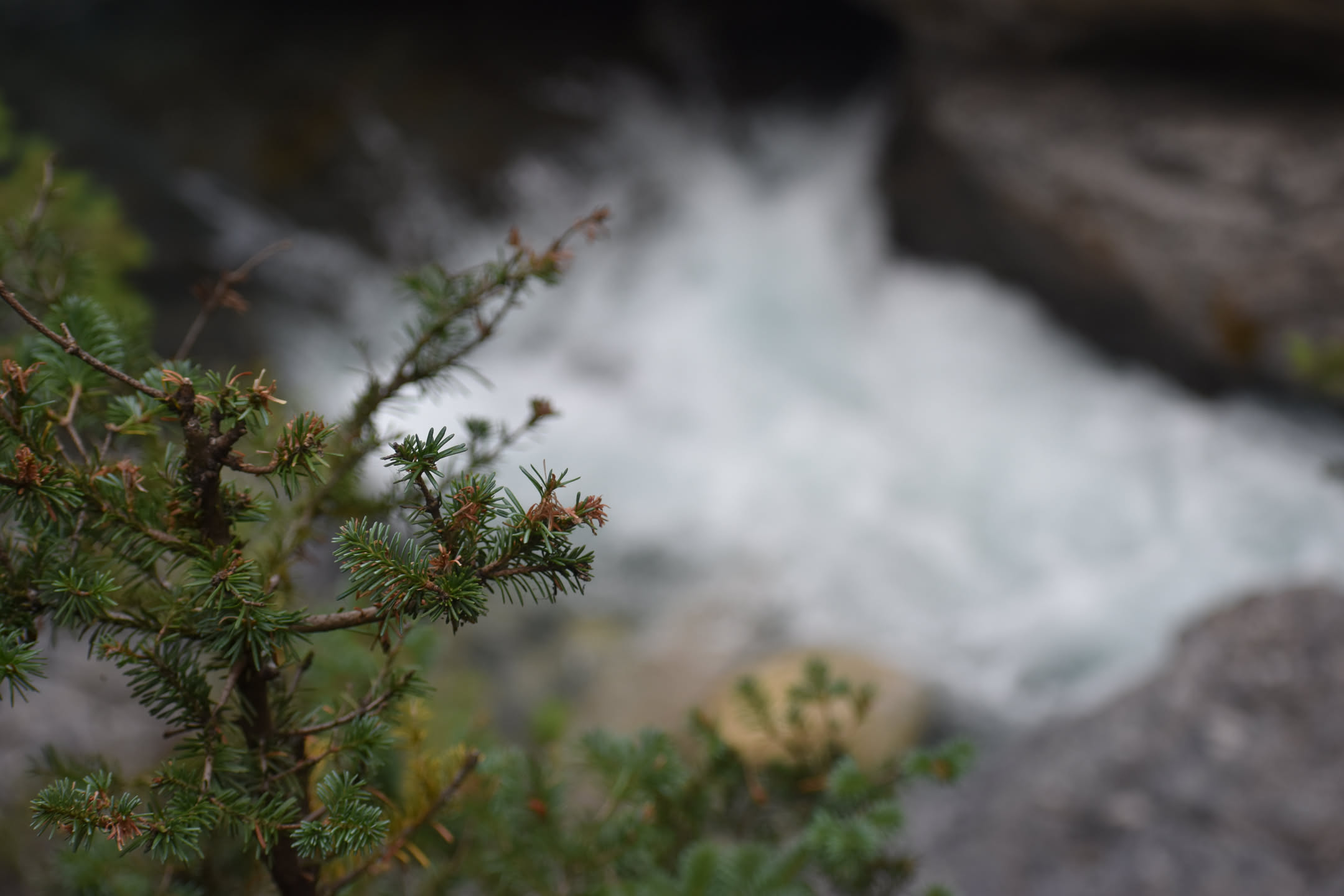 Canada, photograph 98 of 127