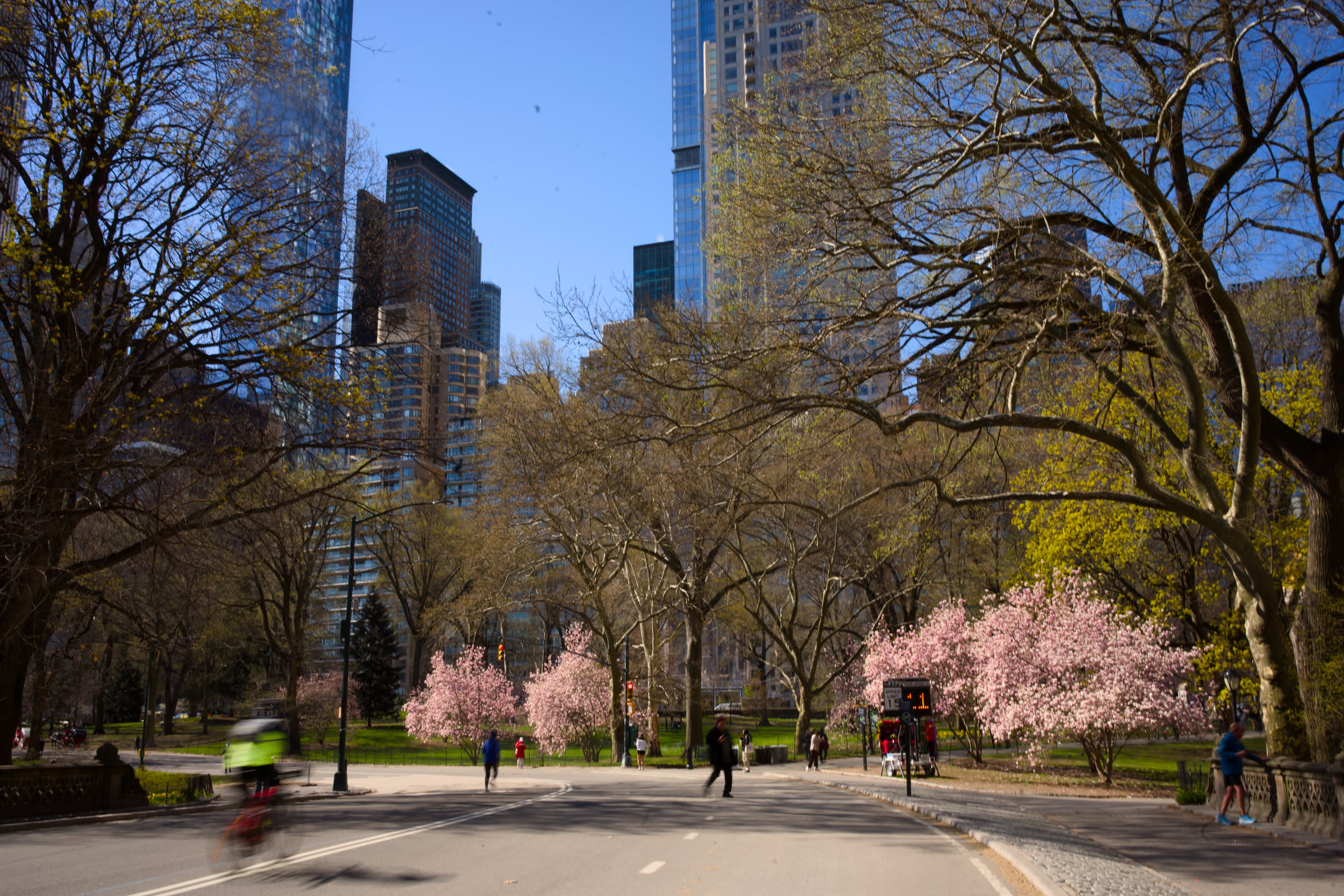 New York City, photograph 10 of 62