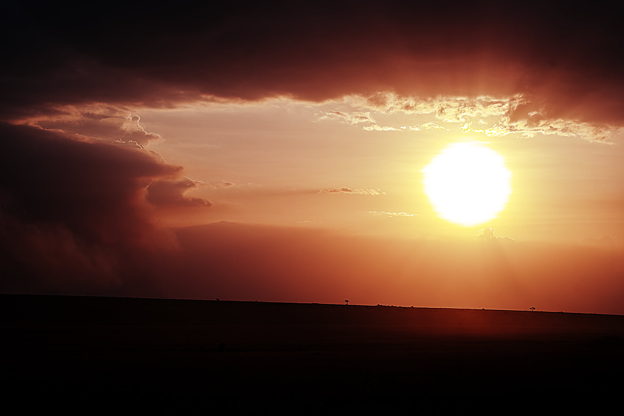 Masai Mara, photograph 3