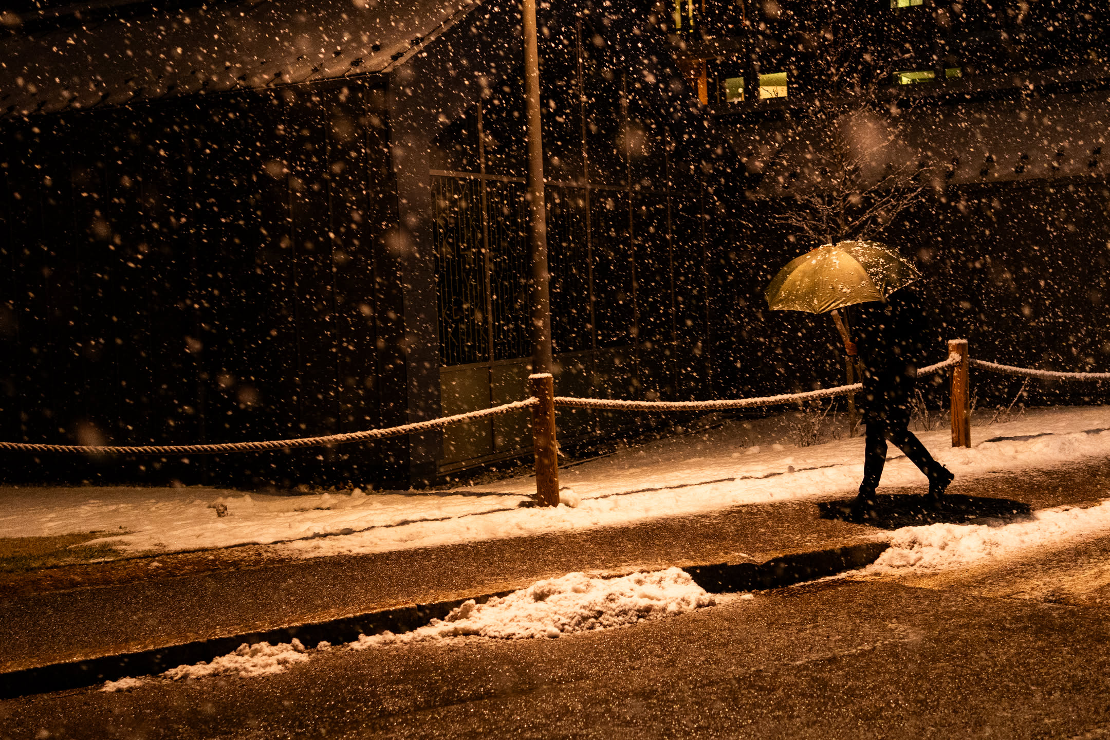 5b4027b3-e902-42c6-b6ab-af7d186283cd