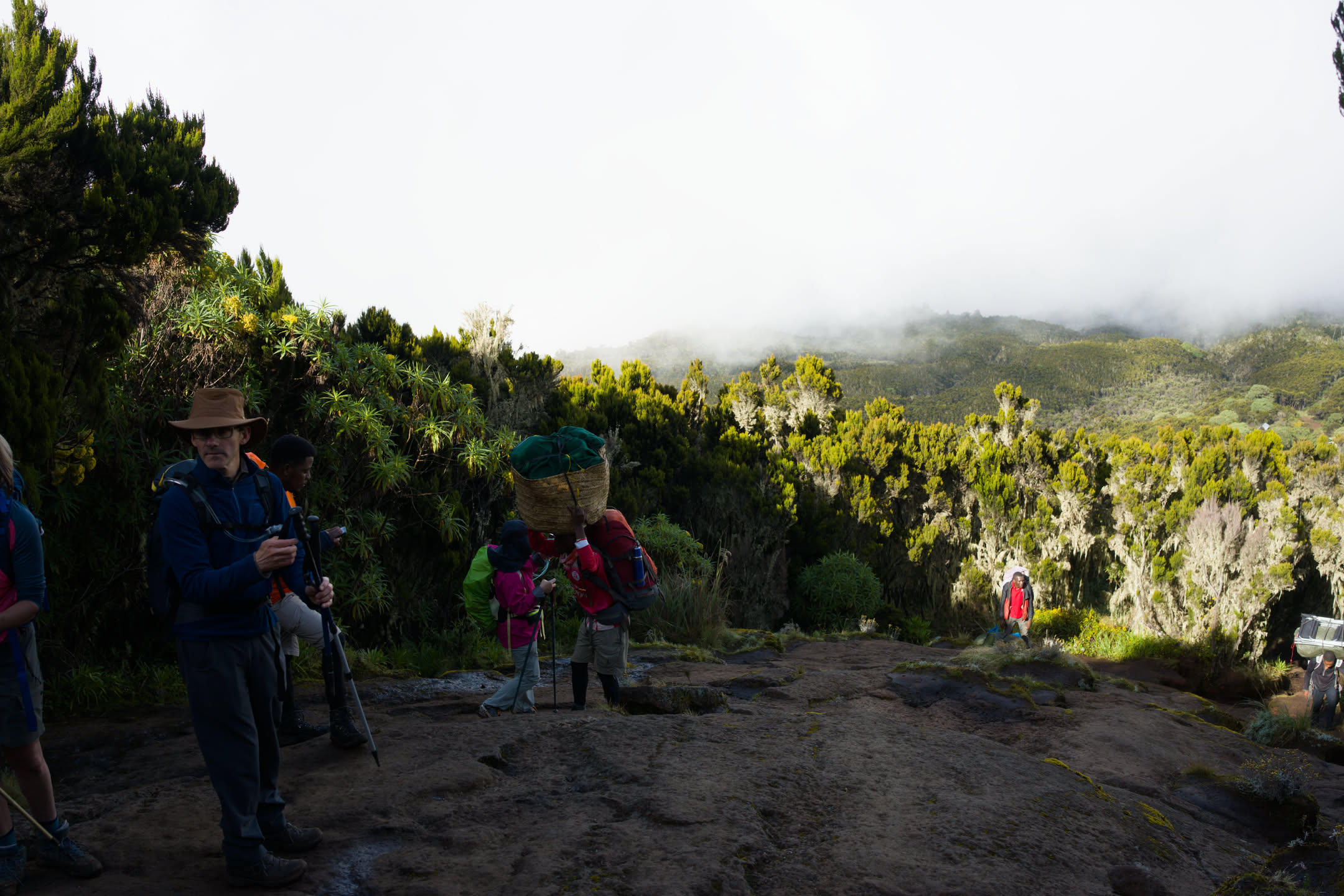 Kilimanjaro, photograph 20 of 45