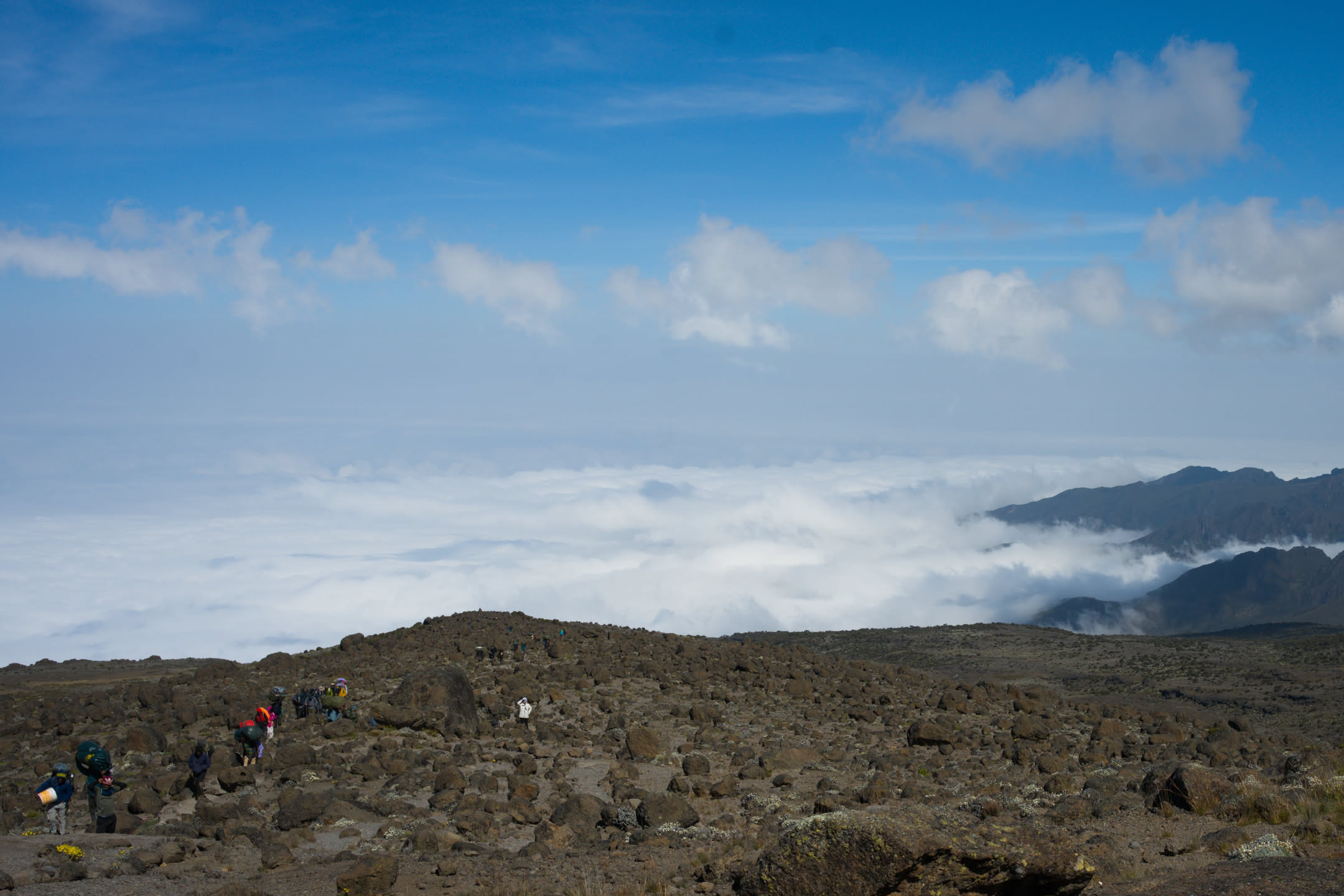 Kilimanjaro, photograph 6 of 45