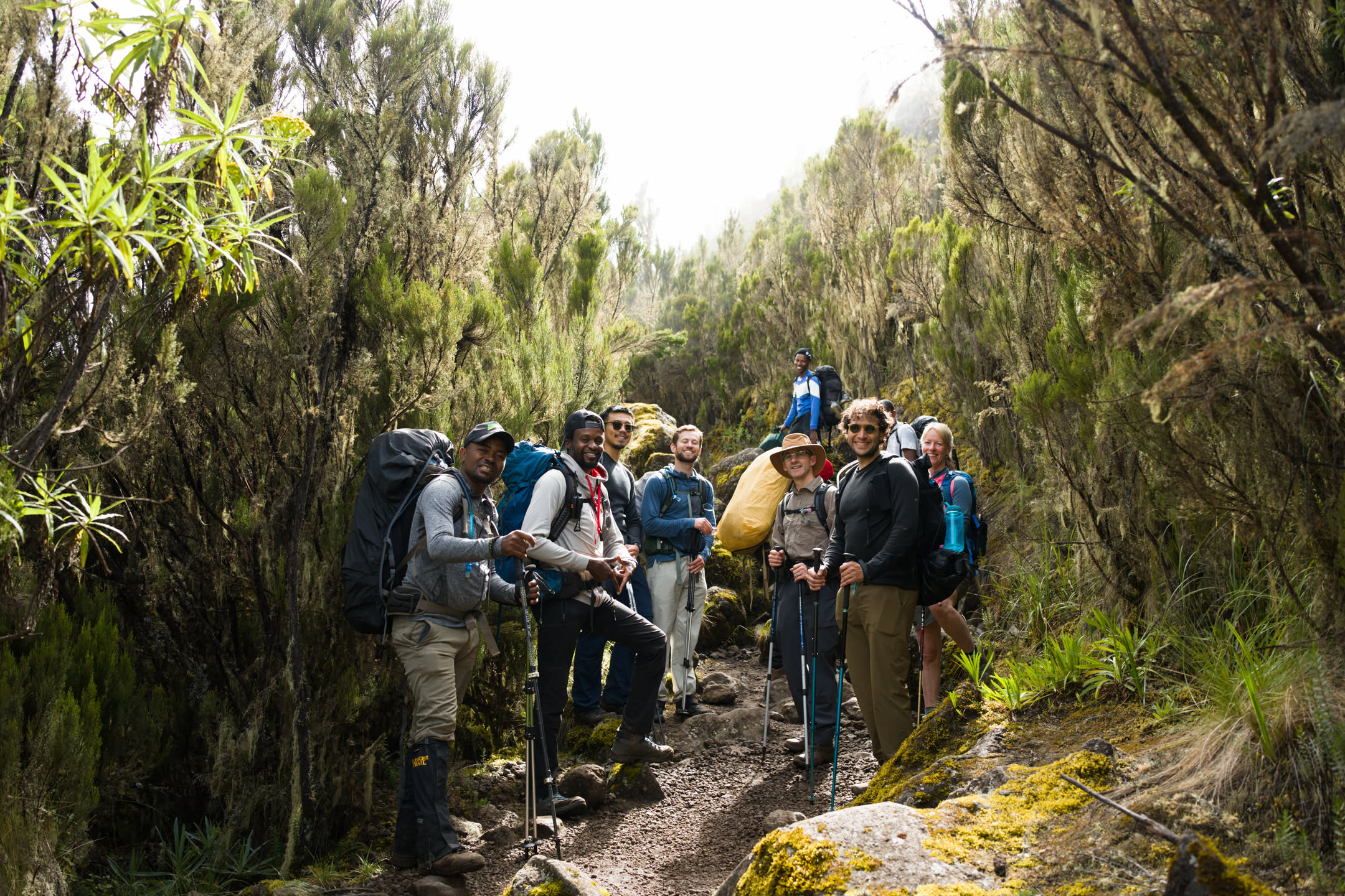 Kilimanjaro, photograph 17 of 45
