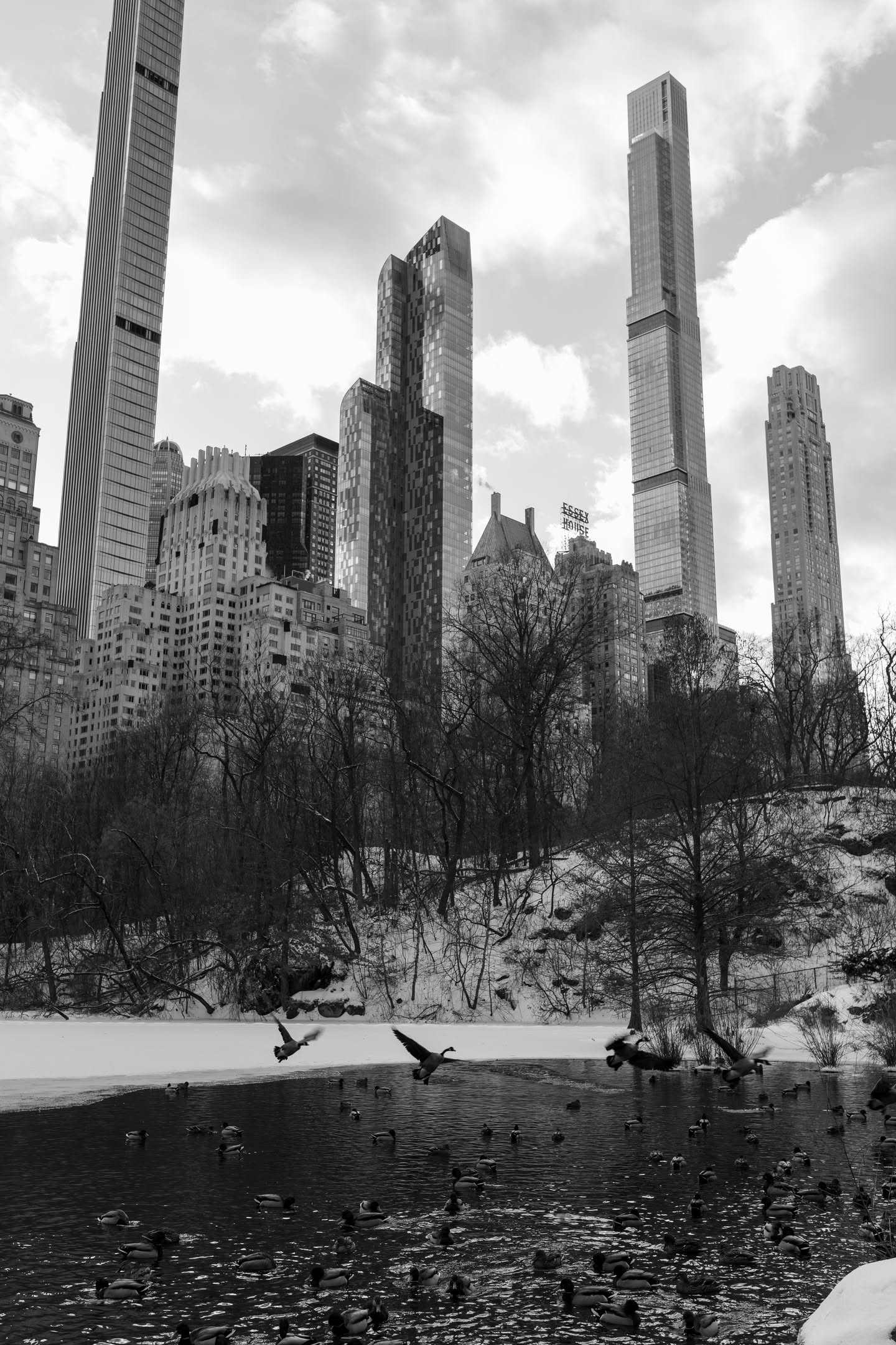Central Park, photograph 11 of 20