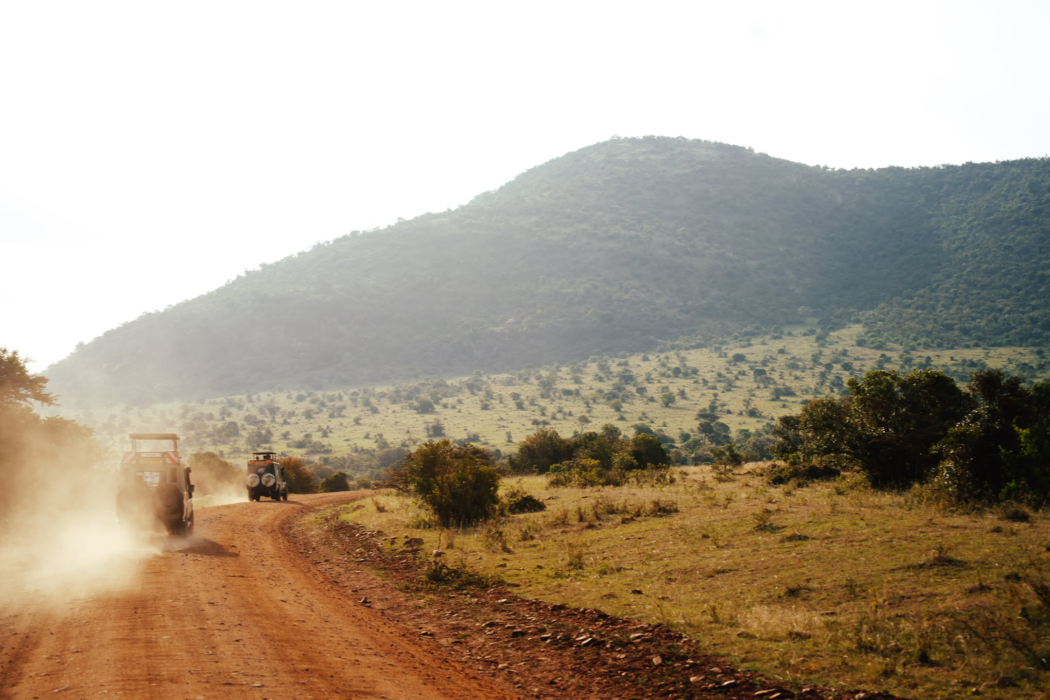 Masai Mara, photograph 181 of 187