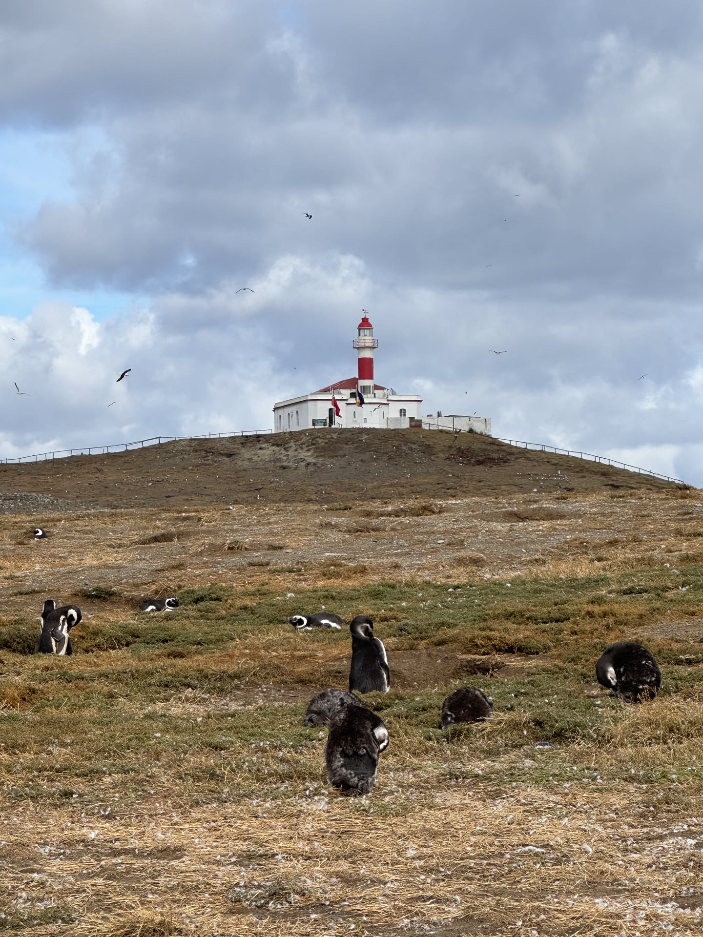 Chile, photograph 16 of 21