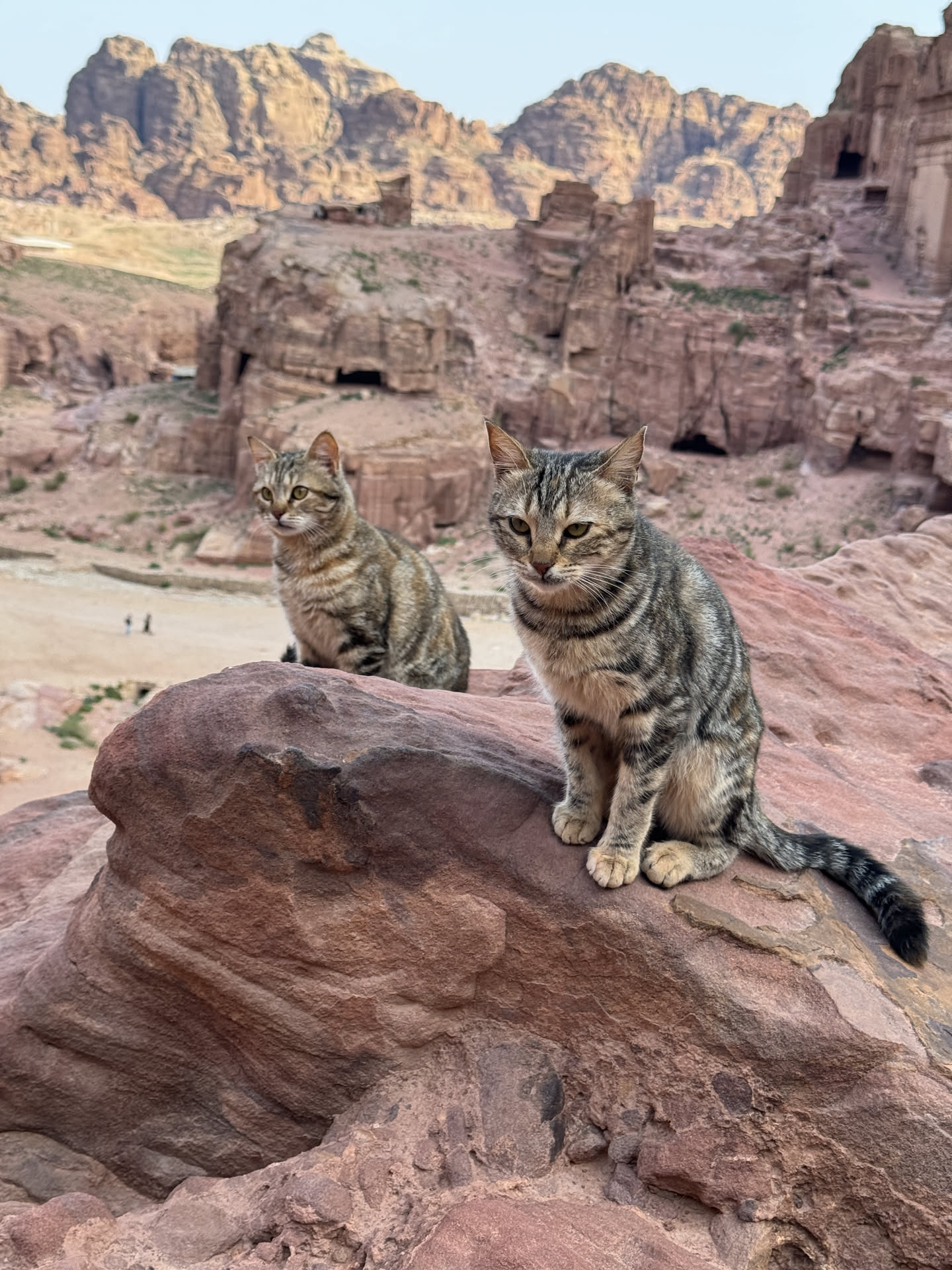 Jordan, photograph 5 of 11