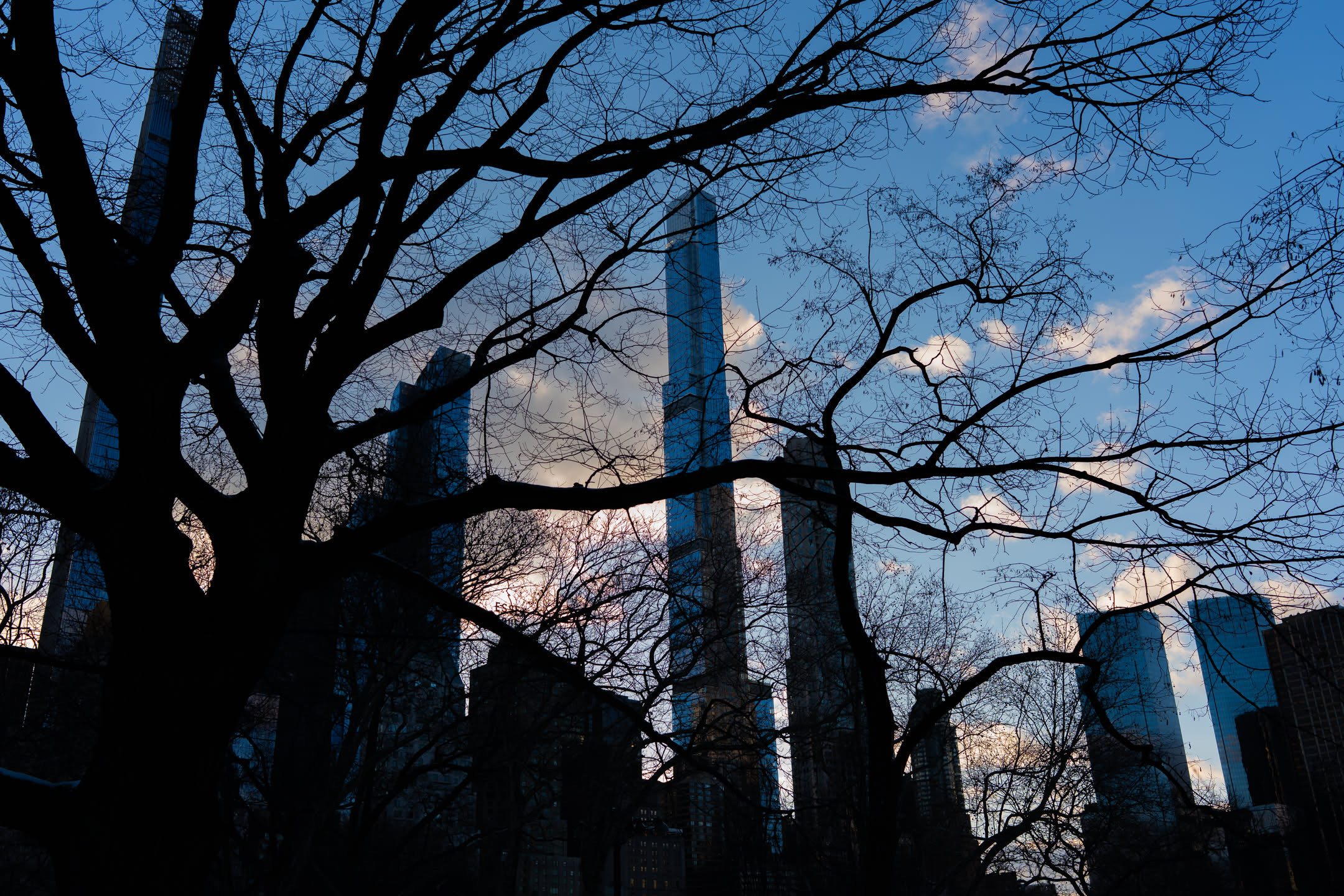 Central Park, photograph 9 of 20