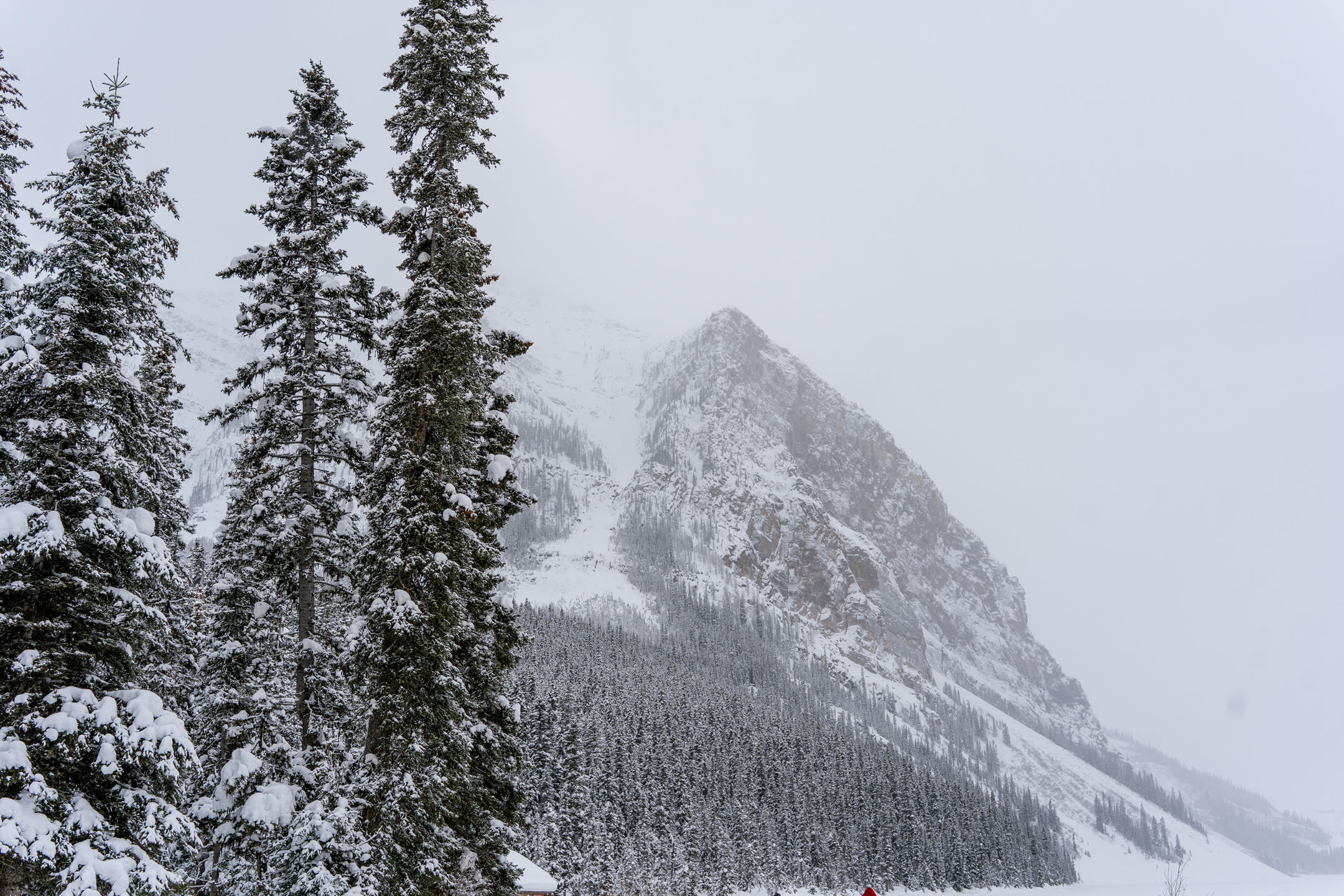 71a24ca1-8b27-4ea8-875b-31c08b045120