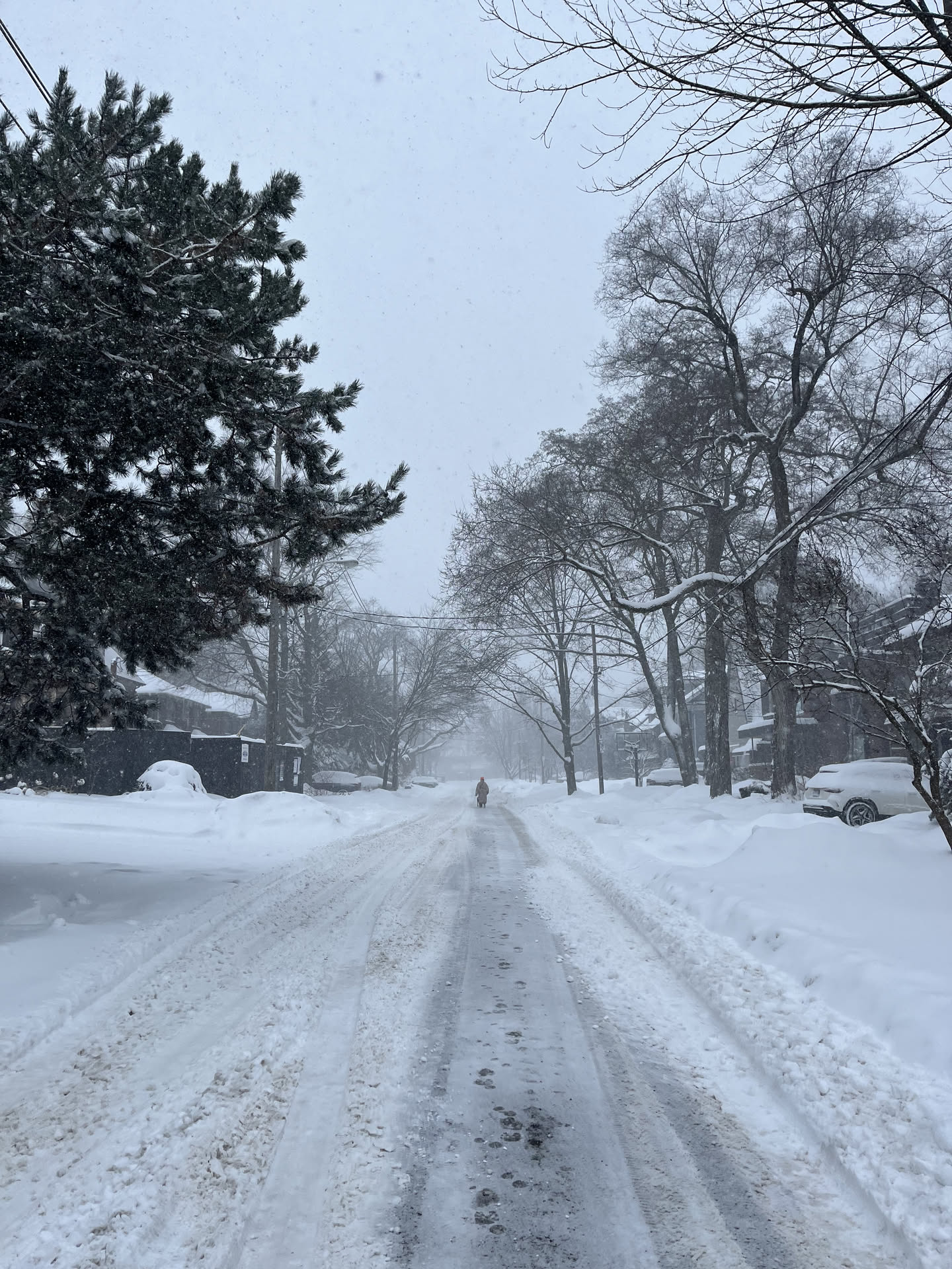 Canada, photograph 25 of 127