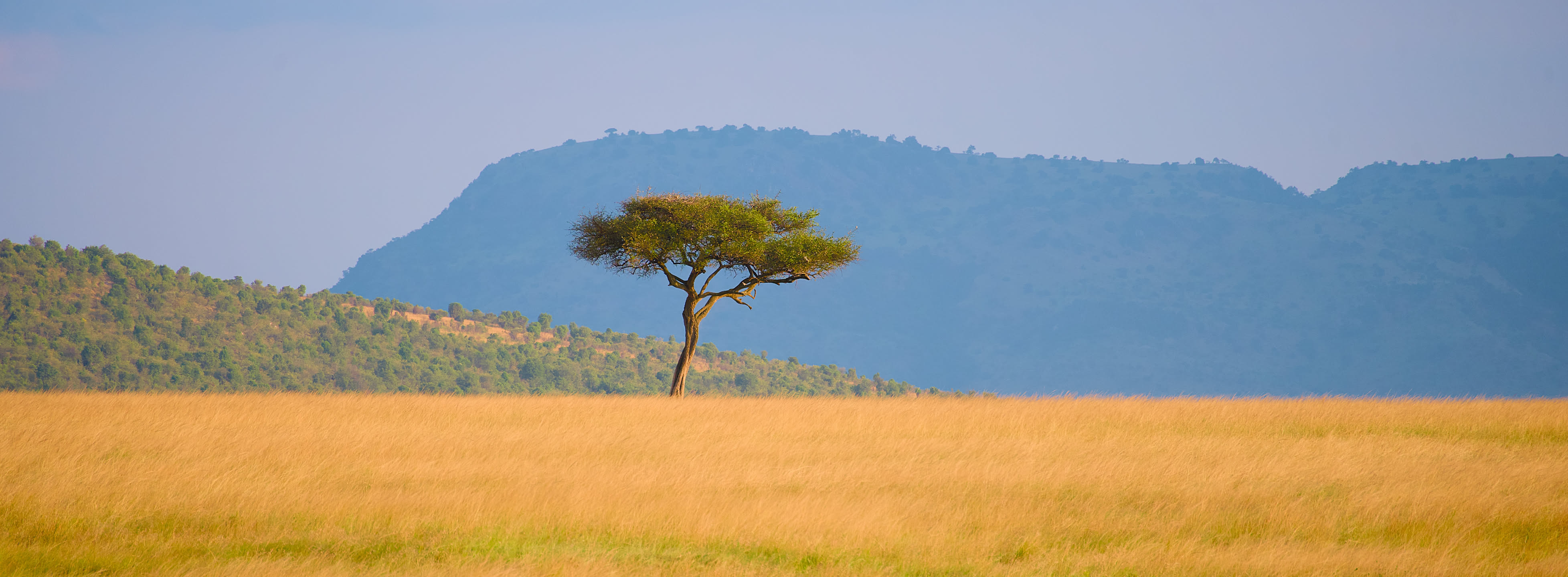 Masai Mara, photograph 174 of 187