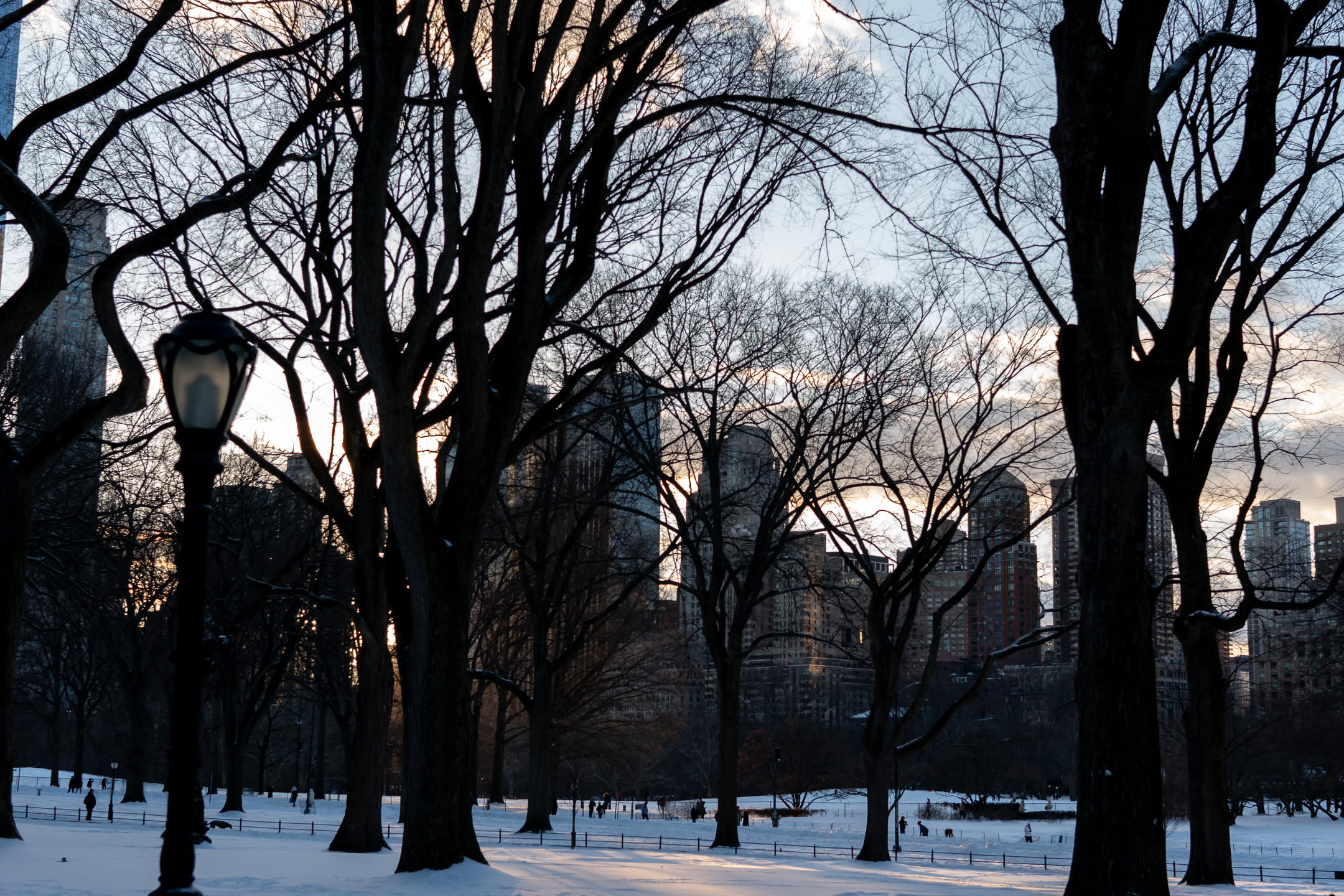 Central Park, photograph 8 of 20