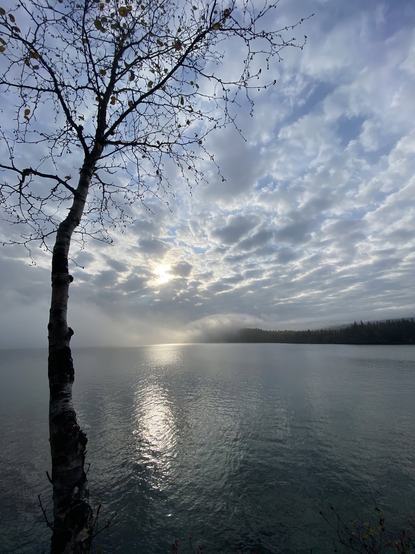 Canada, photograph 49 of 127