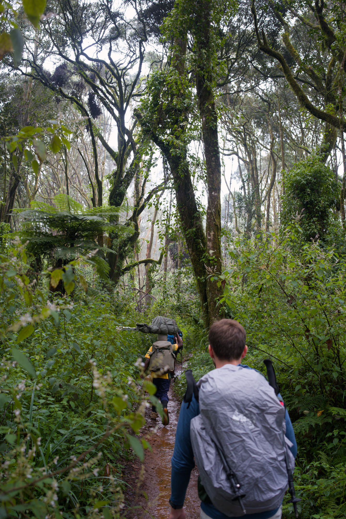 Kilimanjaro, photograph 29 of 45