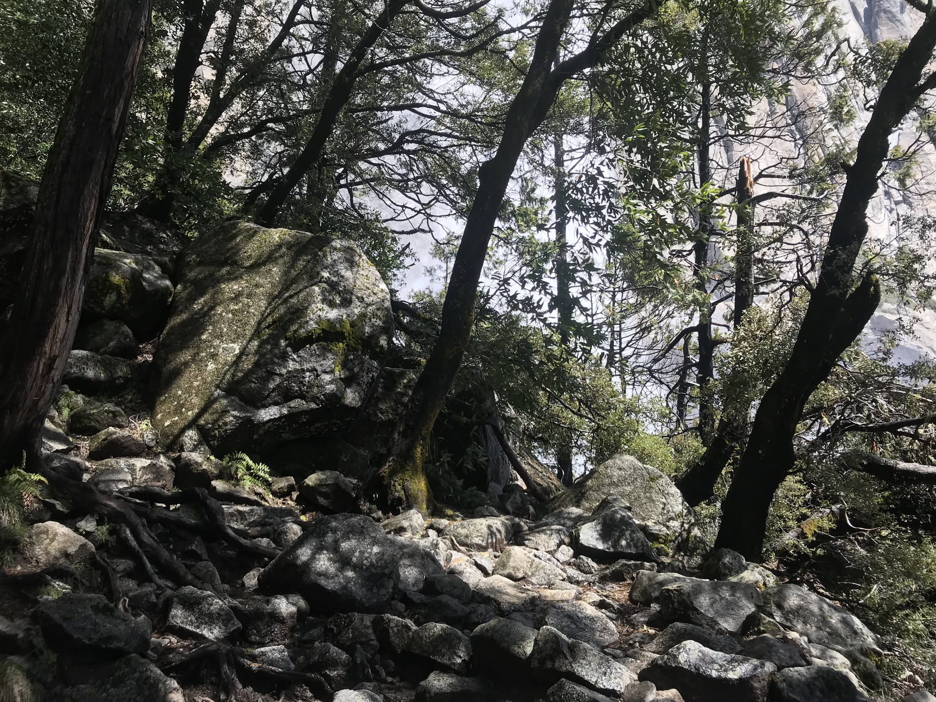 California, photograph 15 of 19