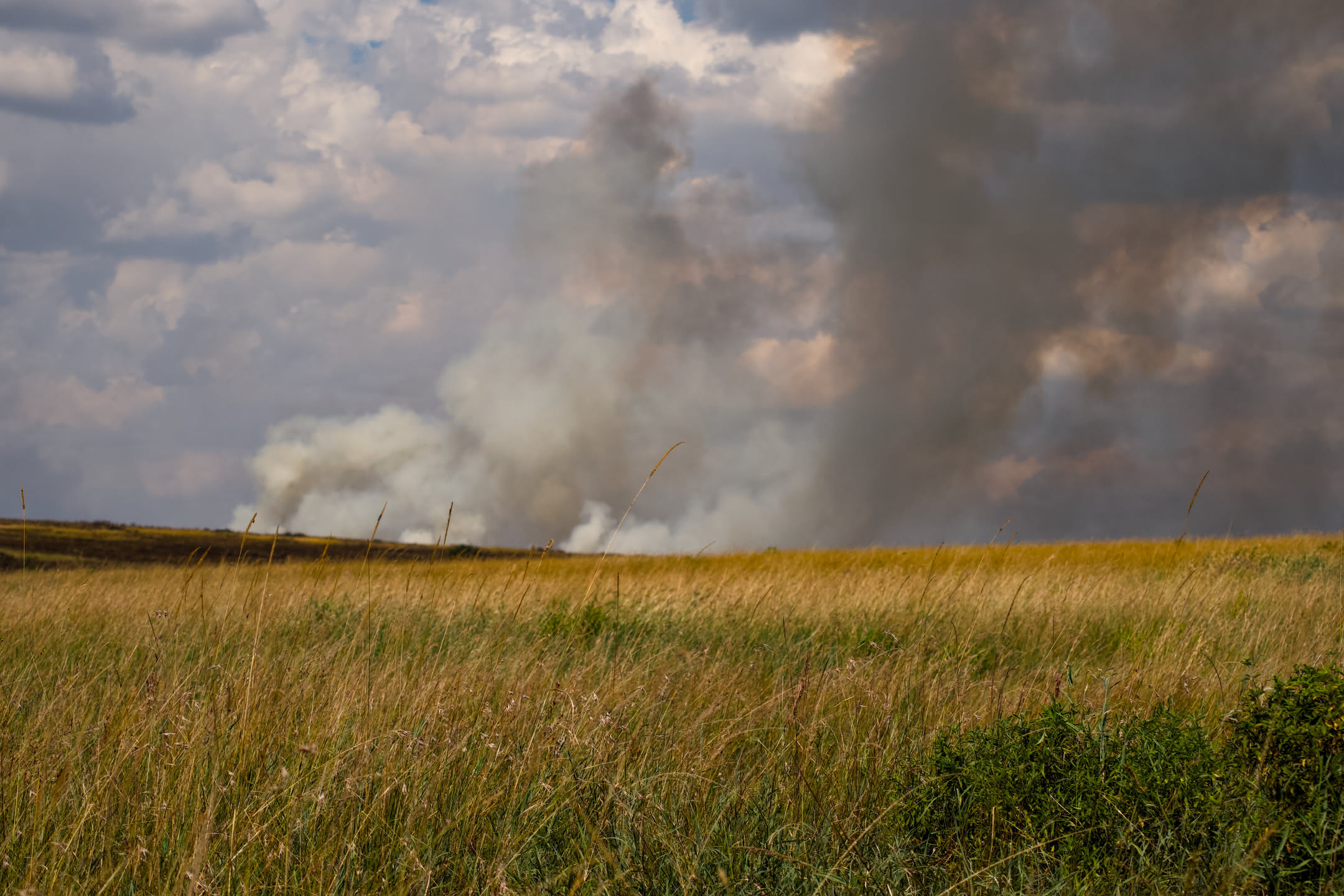 Masai Mara, photograph 5