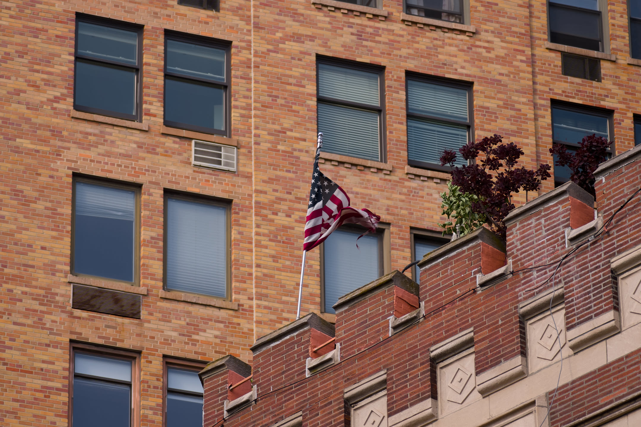 New York, photograph 3 of 115