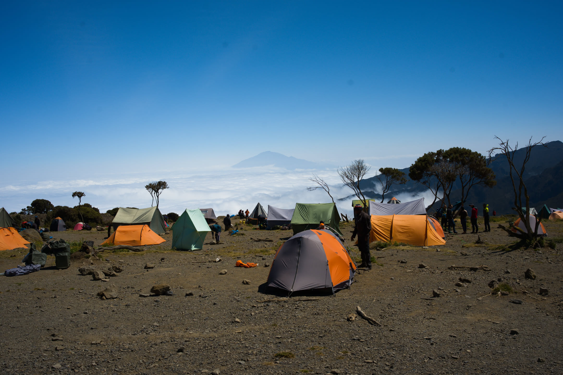 Kilimanjaro, photograph 9 of 45