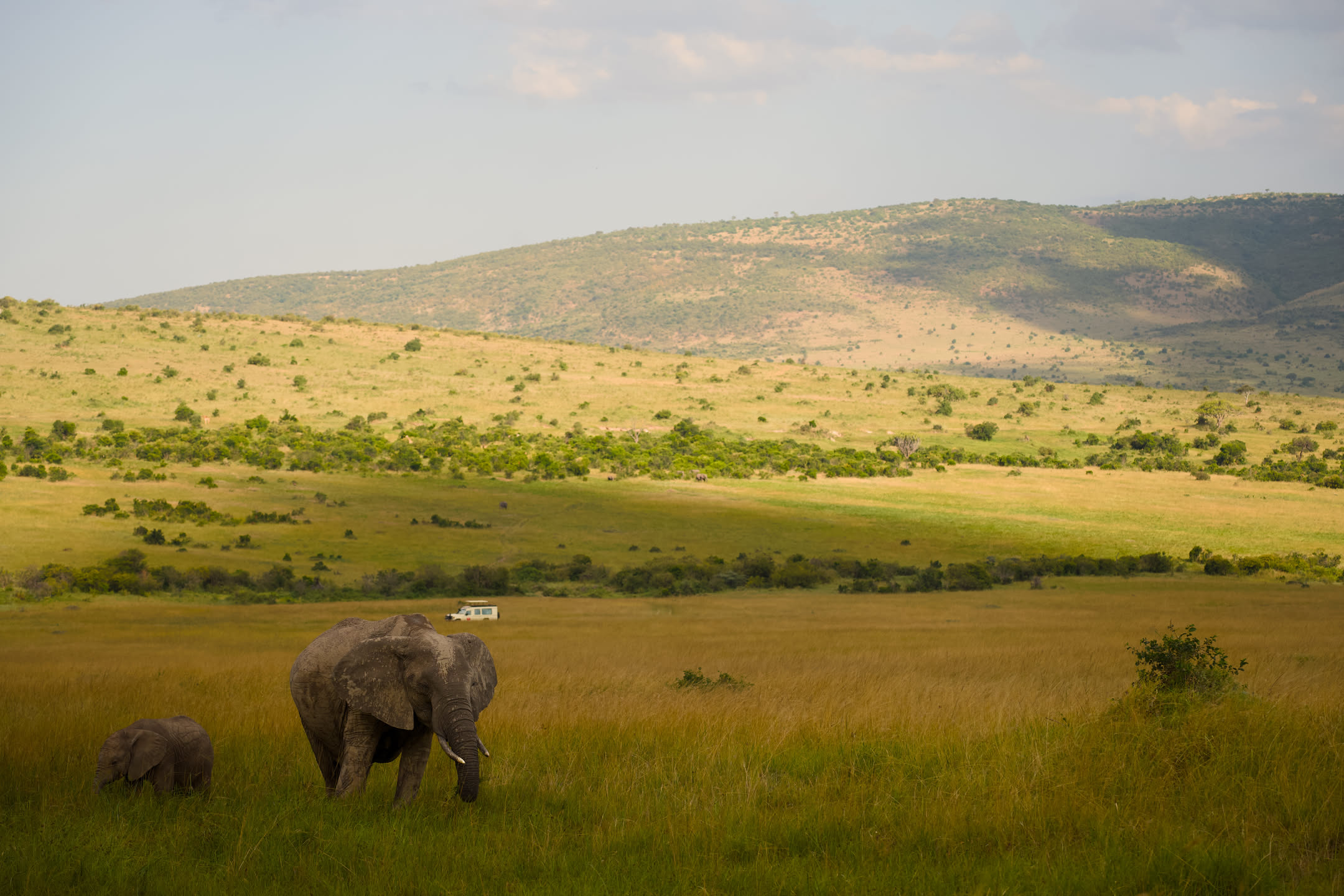 Masai Mara, photograph 78 of 187