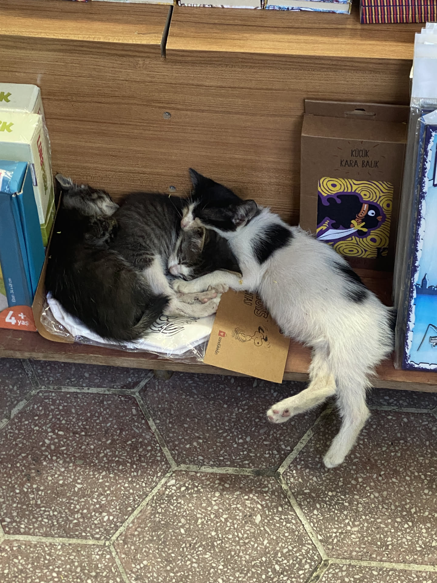 Istanbul, photograph 6 of 6