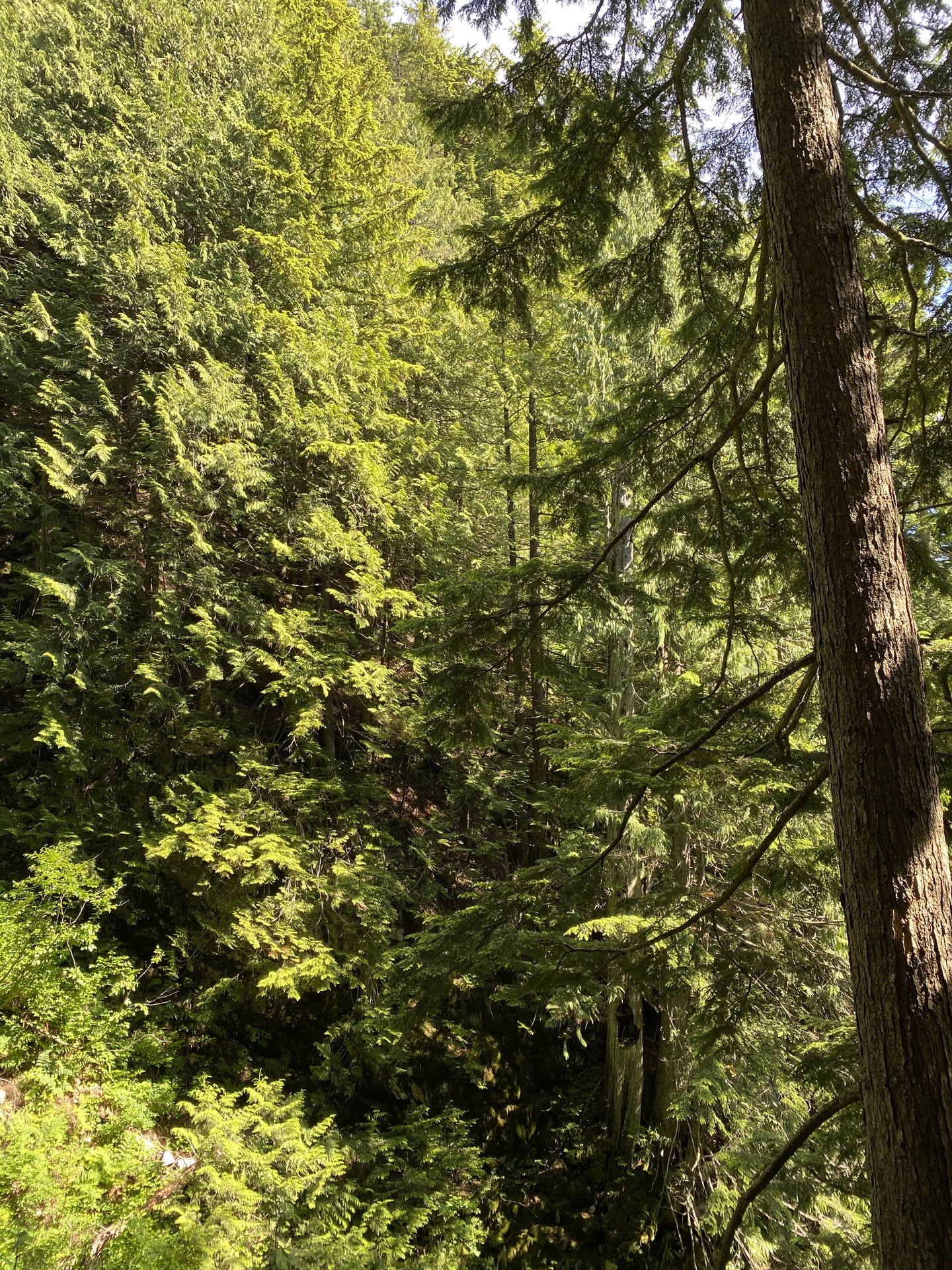 Canada, photograph 64 of 127