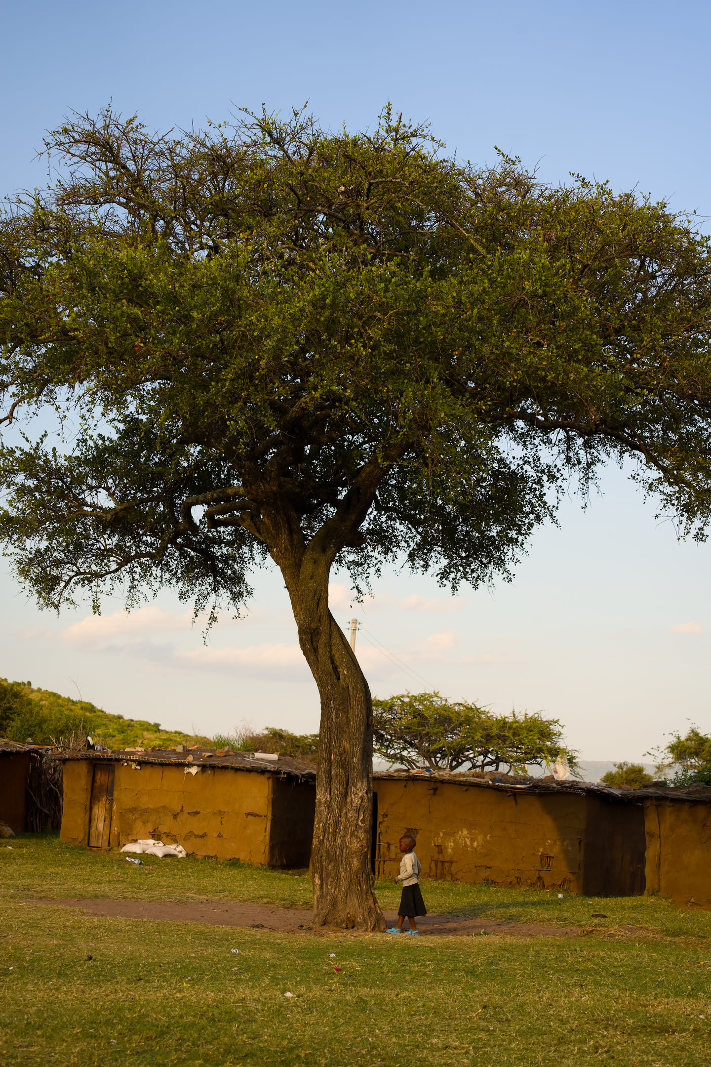 Masai Mara, photograph 69 of 187