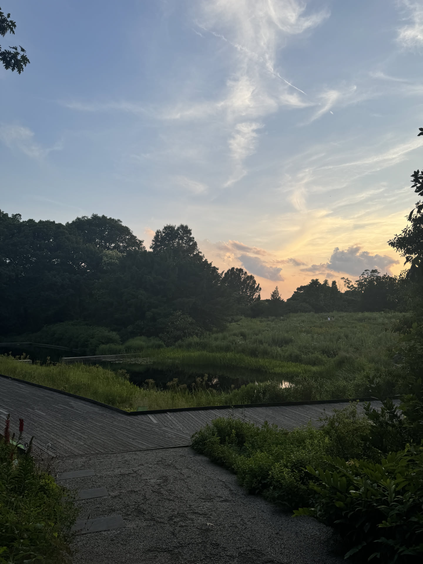 New York, photograph 100 of 115