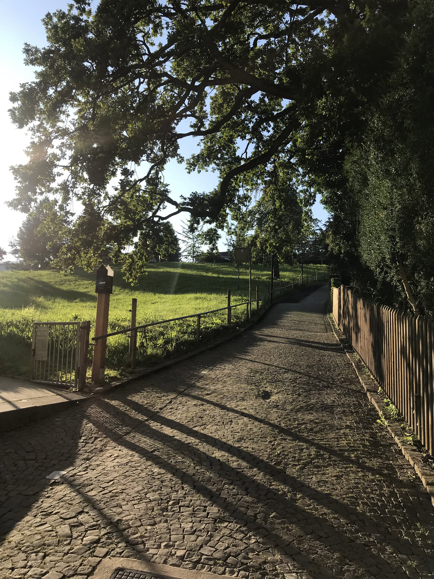 Switzerland, photograph 6 of 13