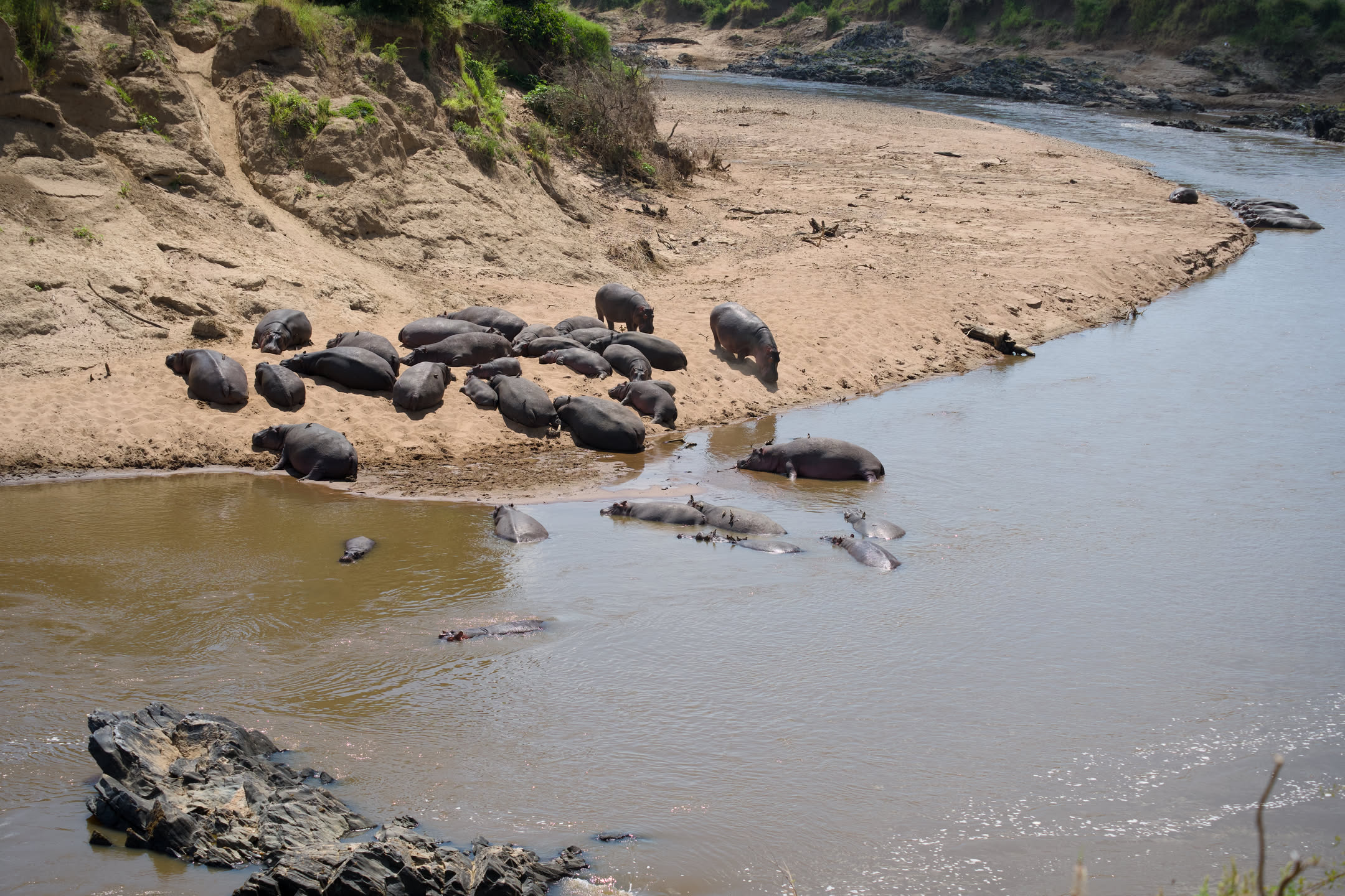 Masai Mara, photograph 99 of 187
