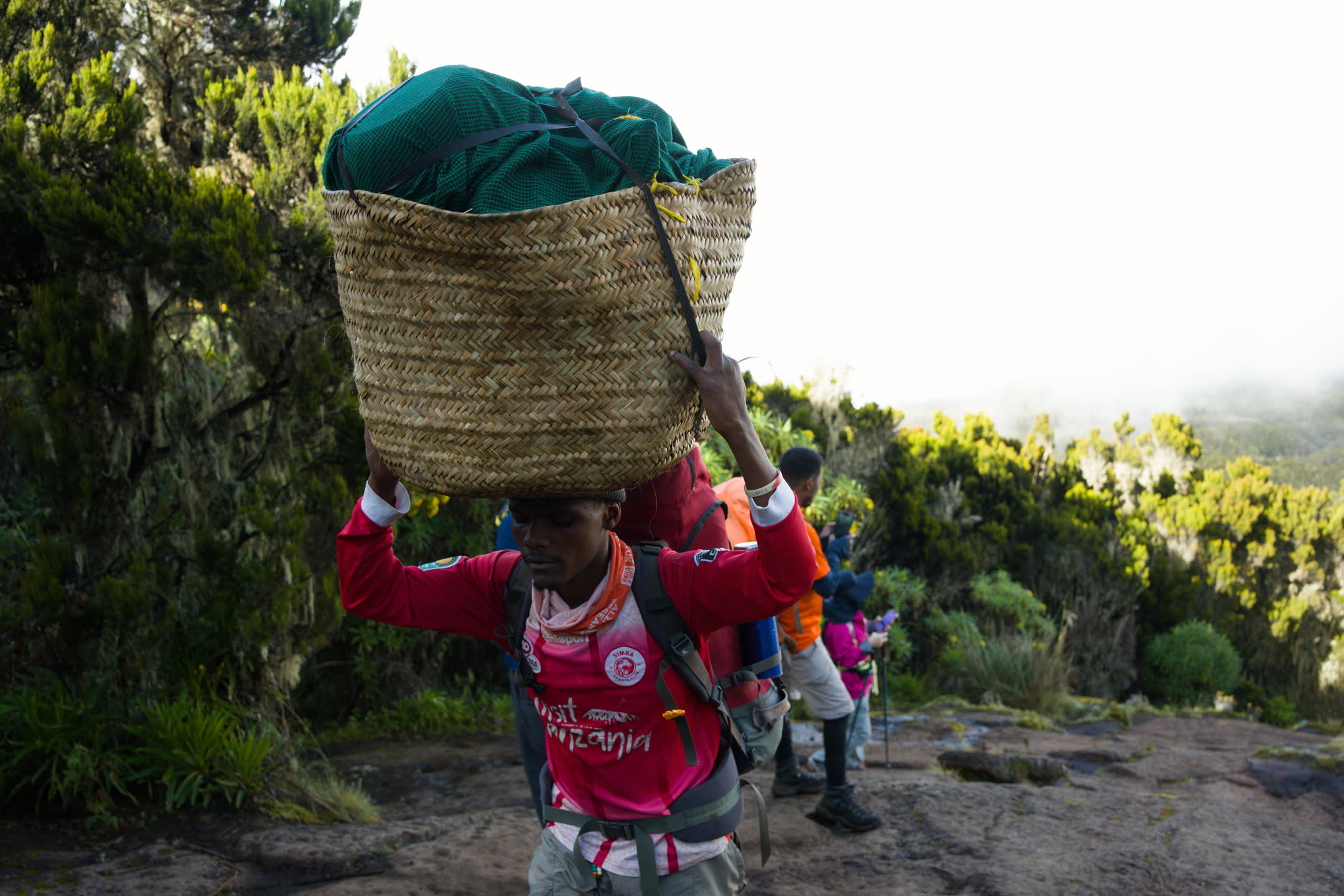 Kilimanjaro, photograph 19 of 45