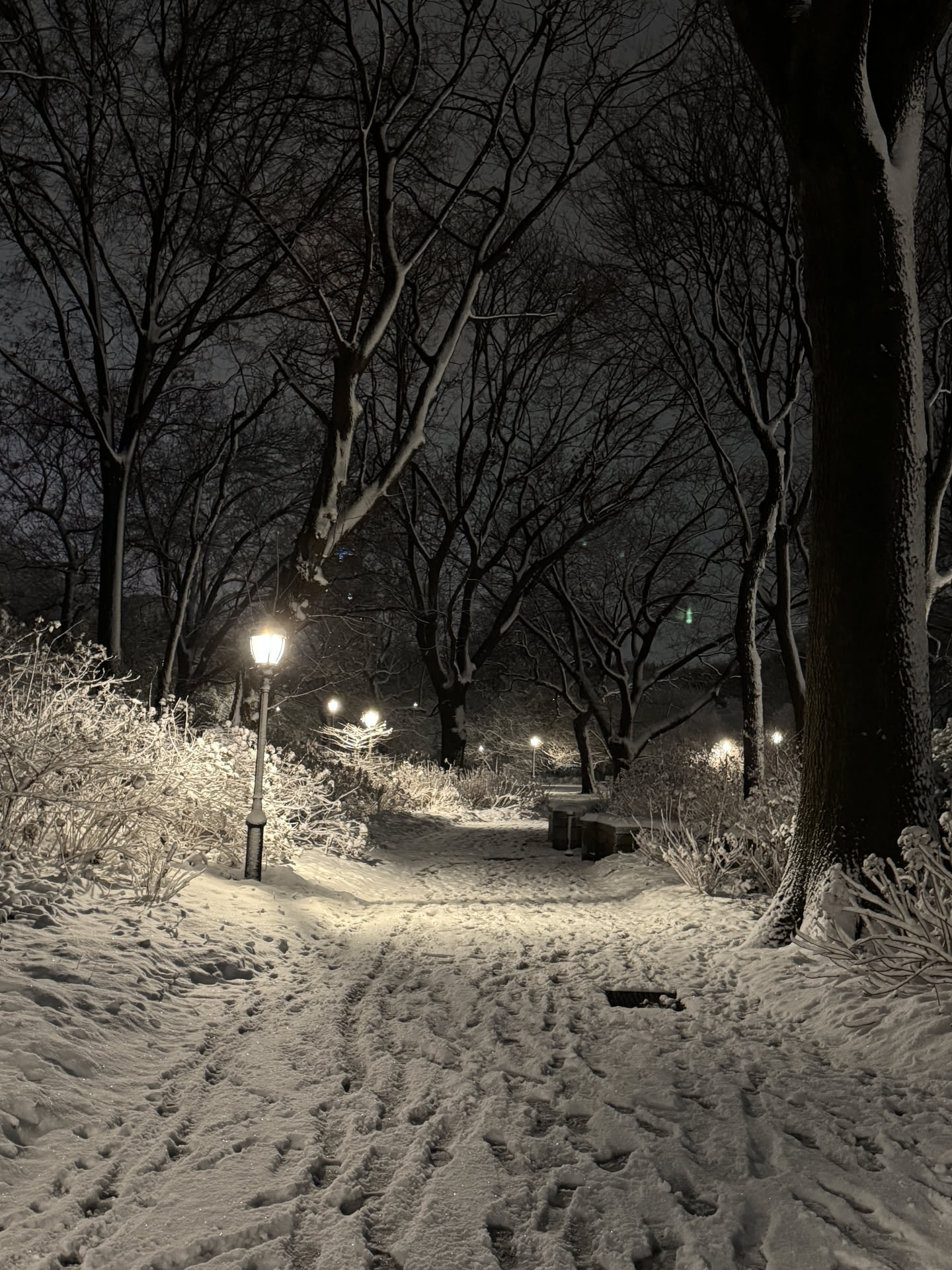 New York, photograph 95 of 115