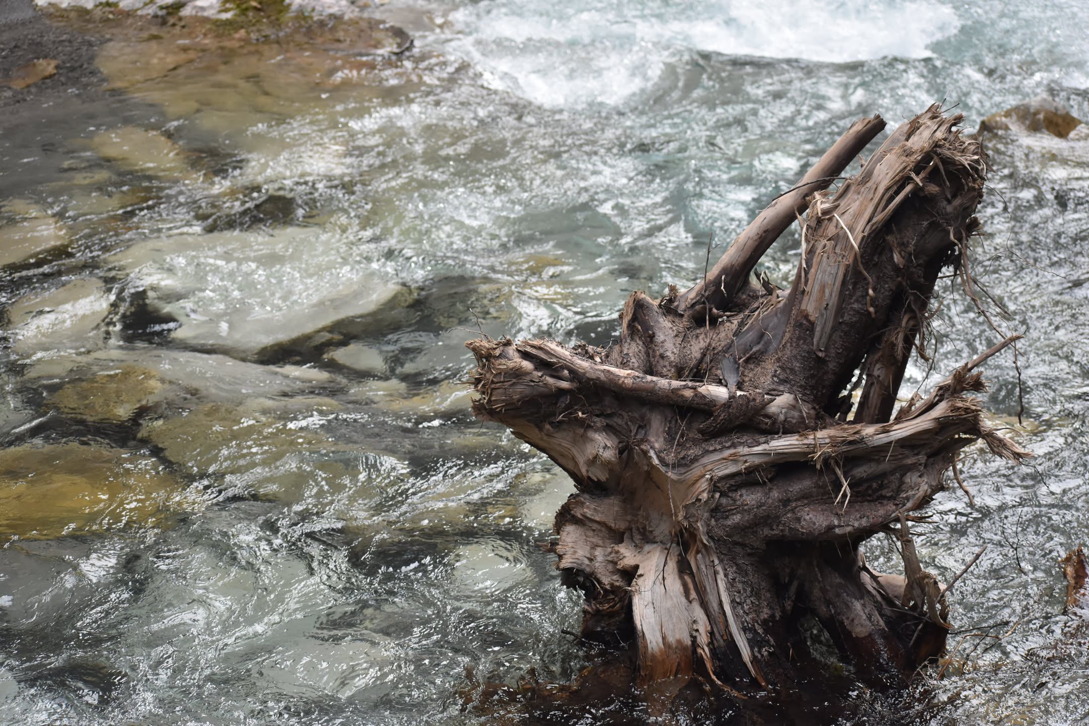 Canada, photograph 95 of 127