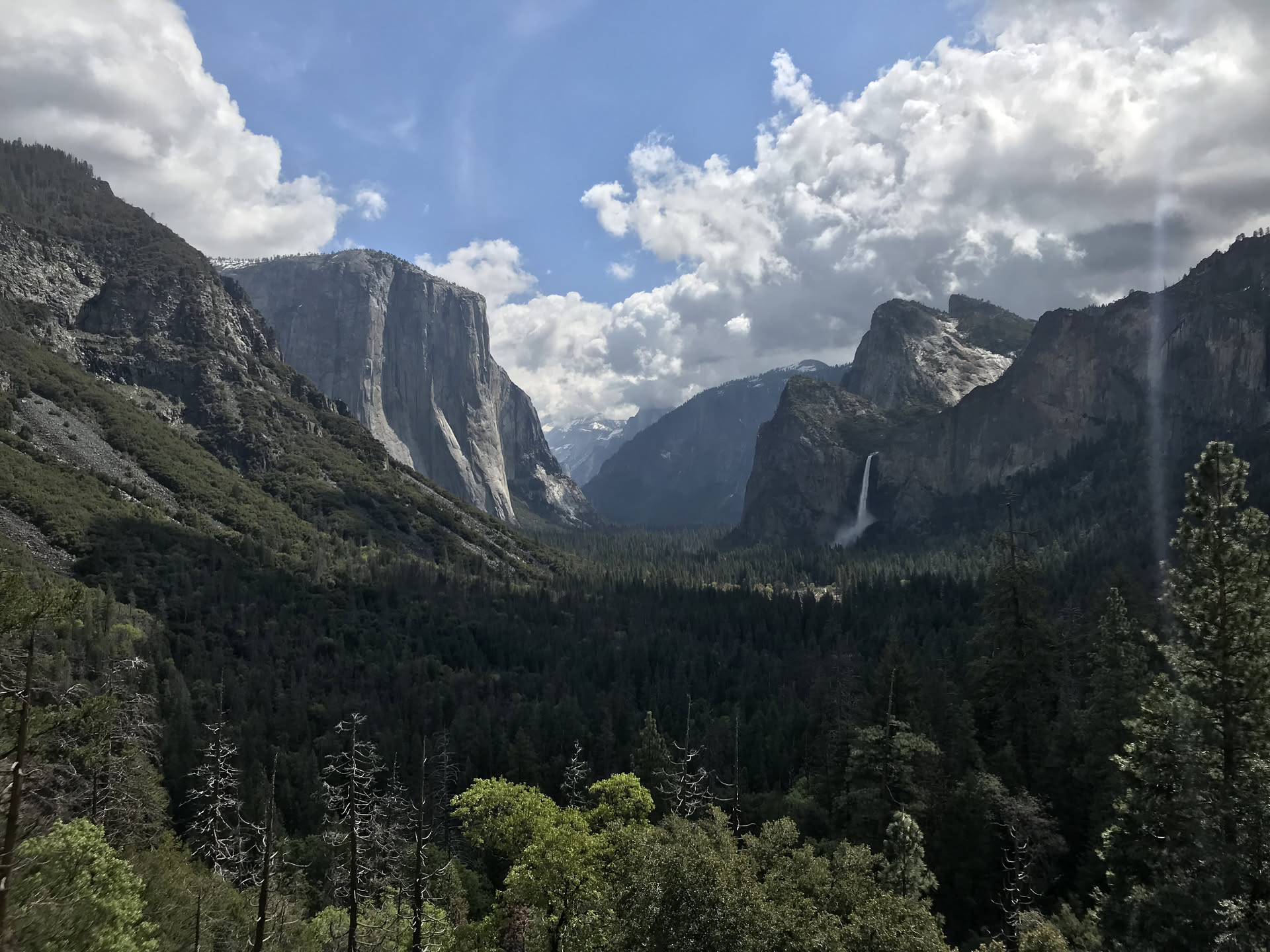 California, photograph 14 of 19