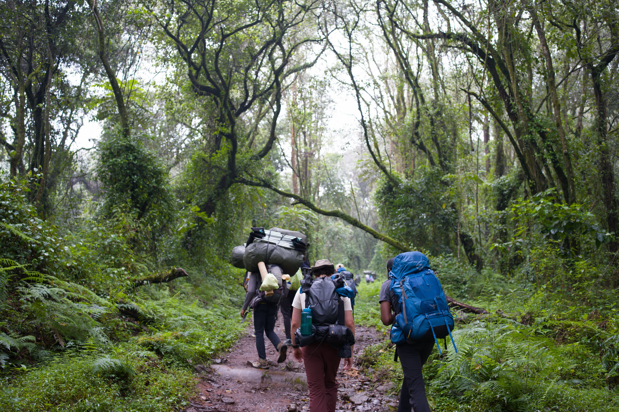 Kilimanjaro, photograph 33 of 45