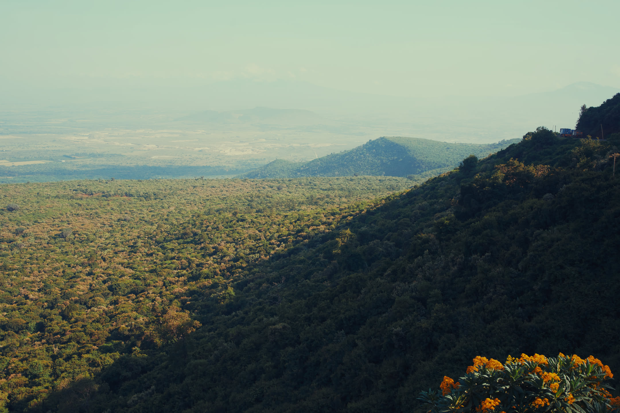 Masai Mara, photograph 1