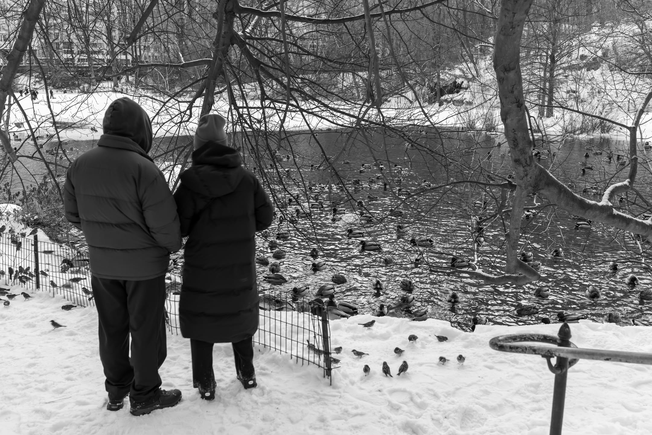 ba6e2a7e-bce8-410e-b501-c9ad9c57bfb9