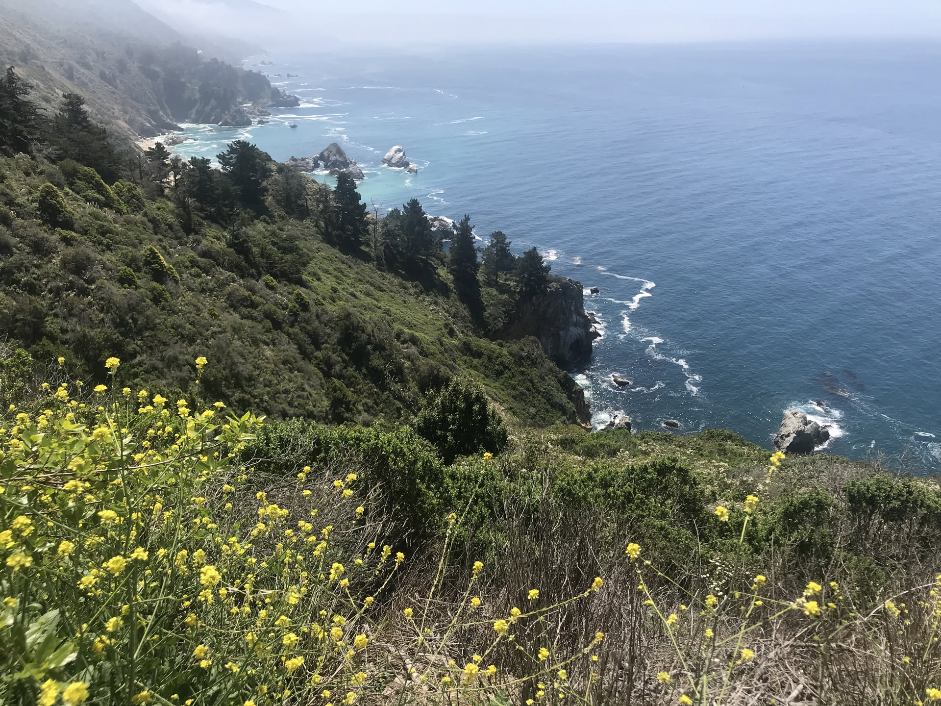 California, photograph 9 of 19
