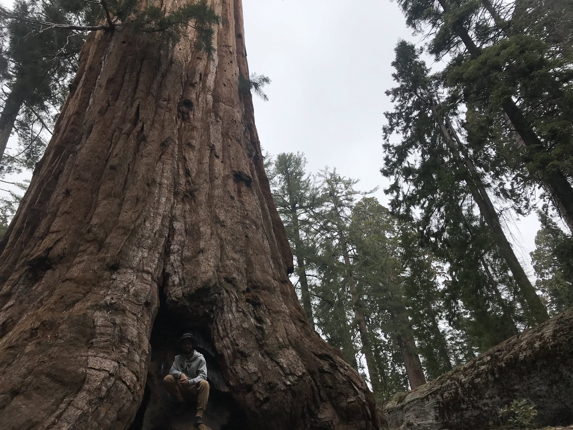 California, photograph 11 of 19