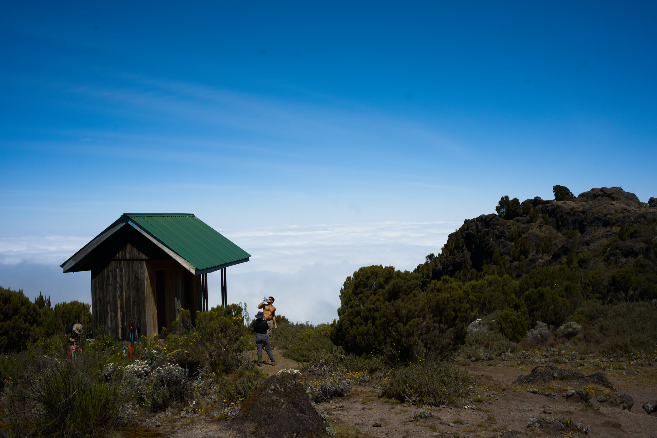 Kilimanjaro, photograph 13 of 45